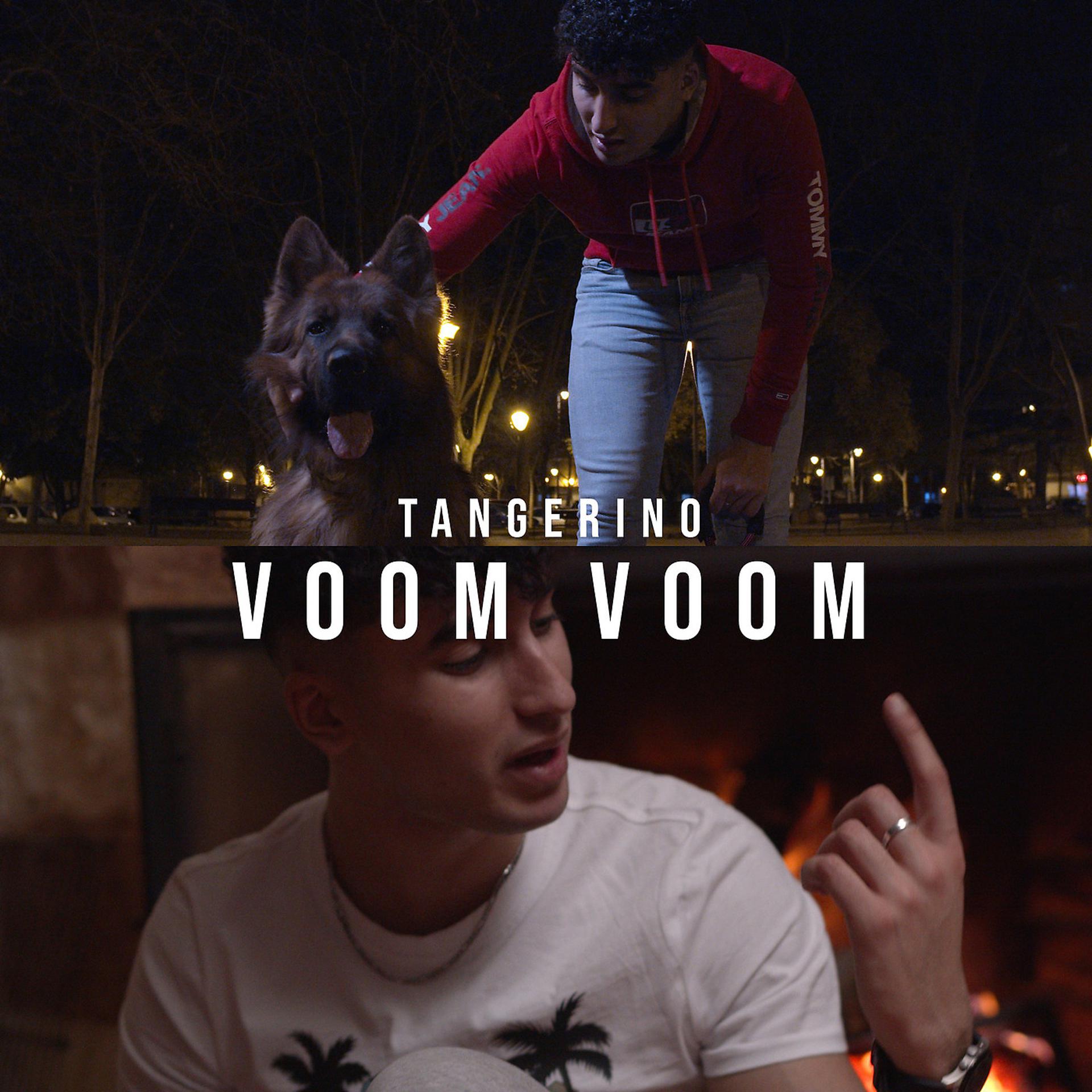 Постер альбома Voom Voom
