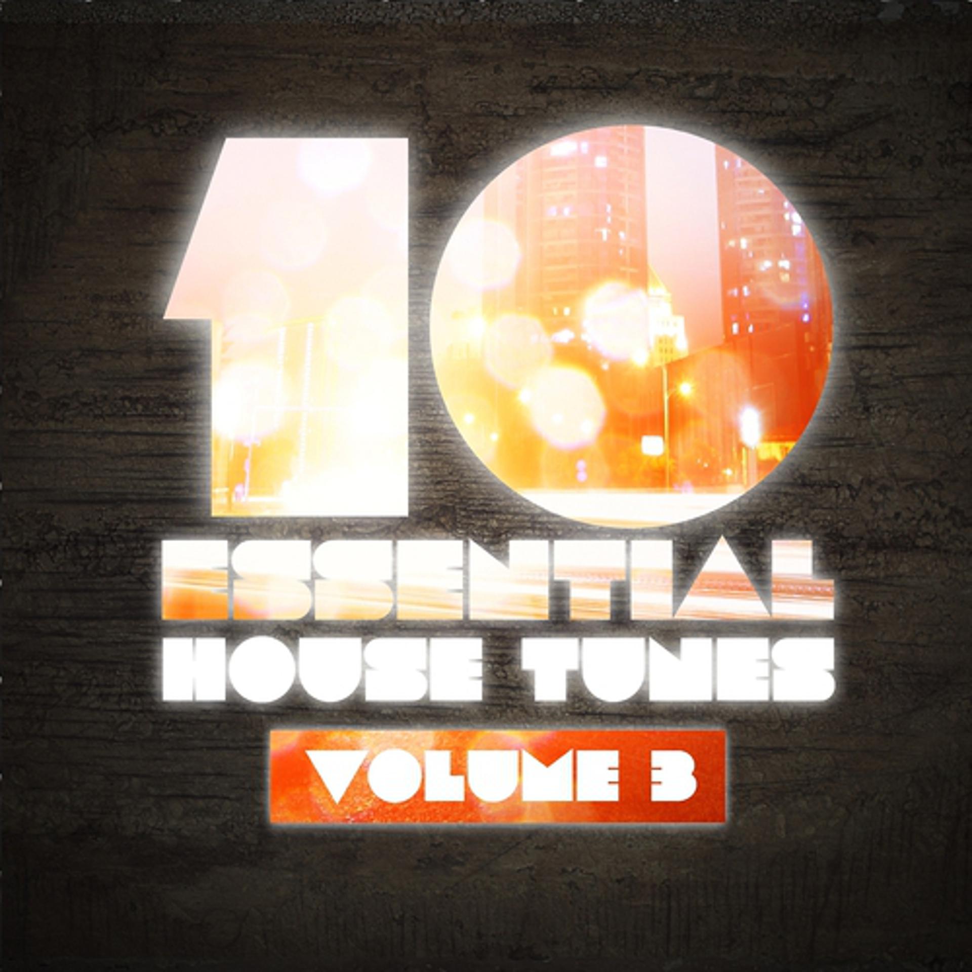 Постер альбома 10 Essential House Tunes, Vol. 3