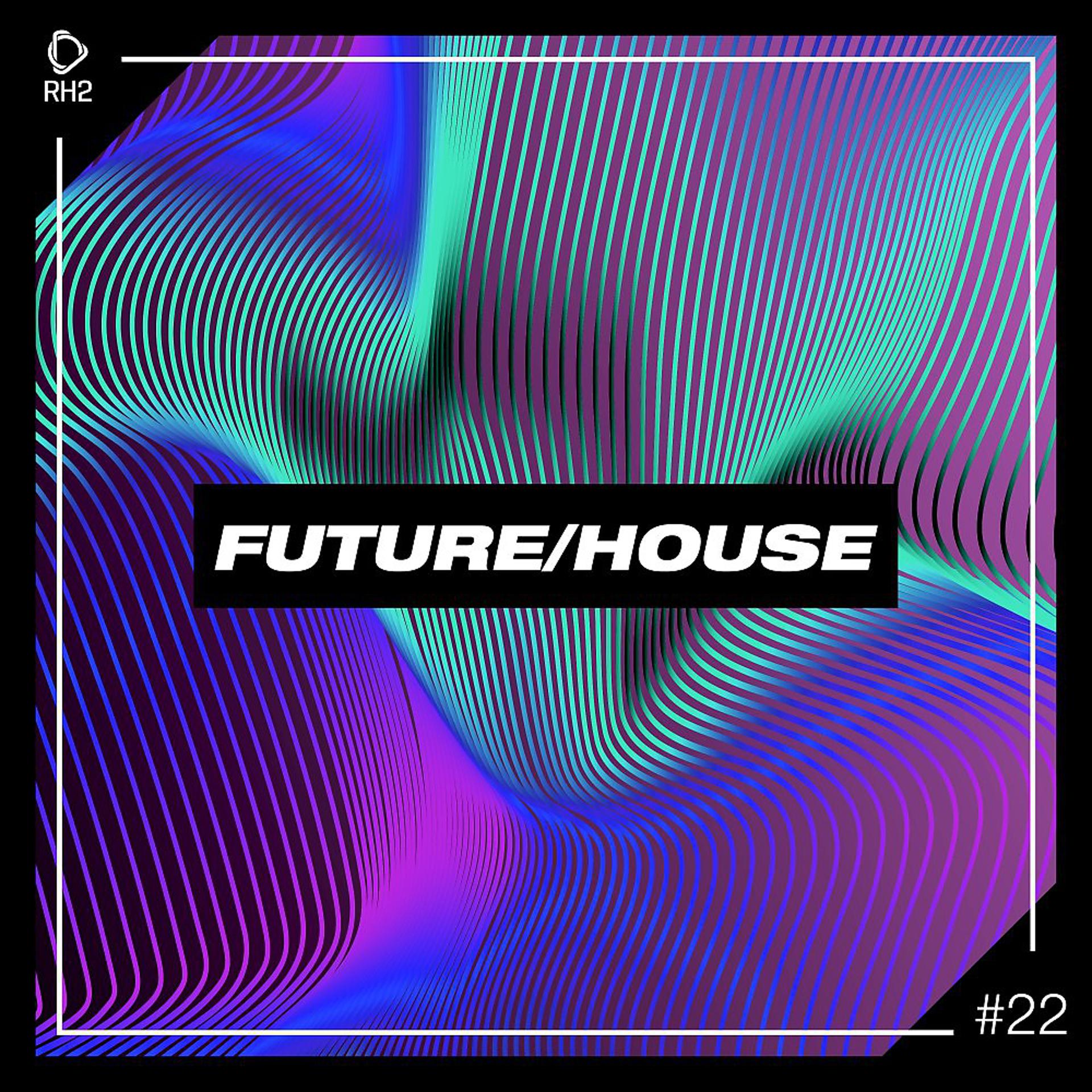 Постер альбома Future/House #22
