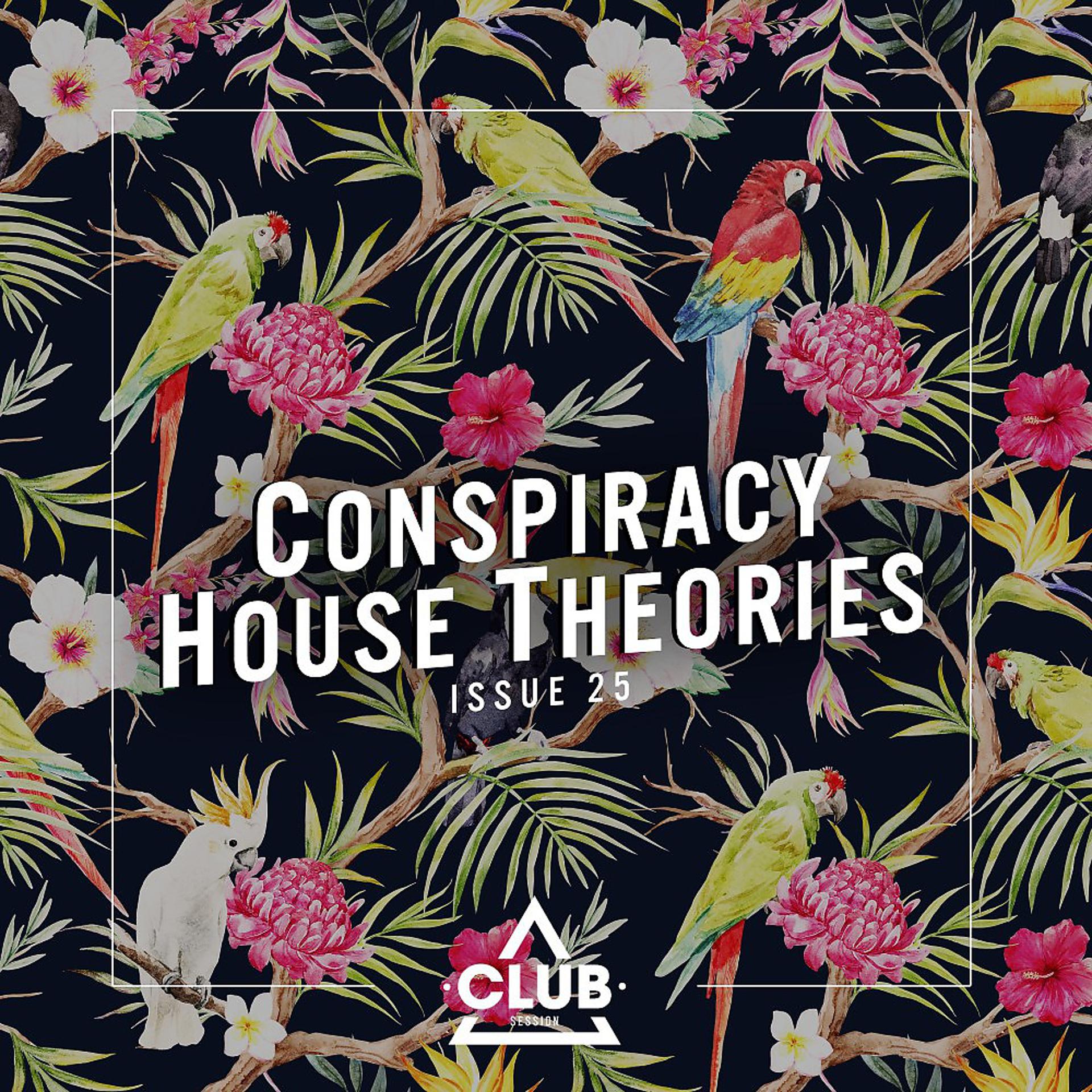 Постер альбома Conspiracy House Theories, Issue 25