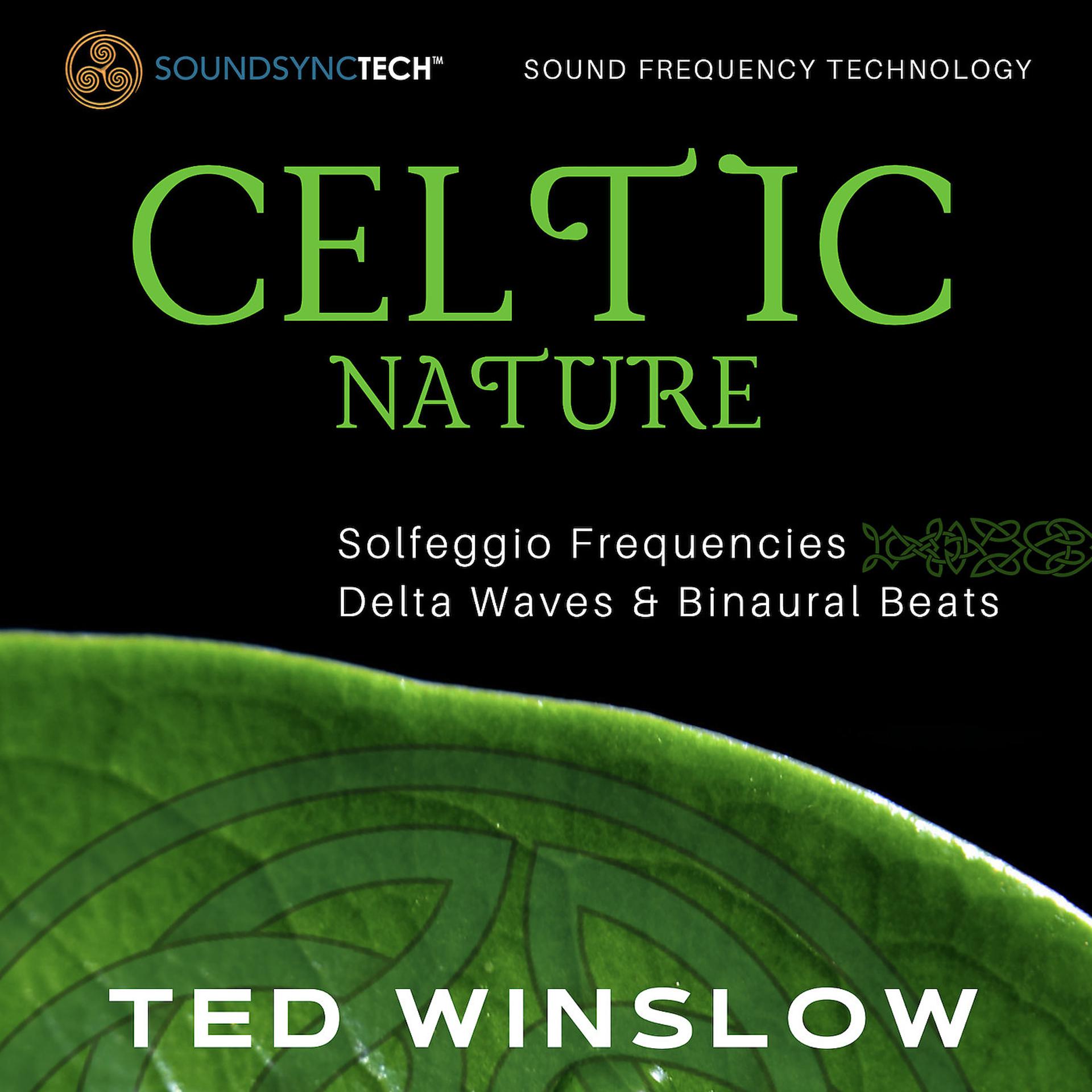 Постер альбома Celtic Nature Solfeggio Frequencies, Delta Waves & Binaural Beats - SoundSyncTech Sound Frequency Technology