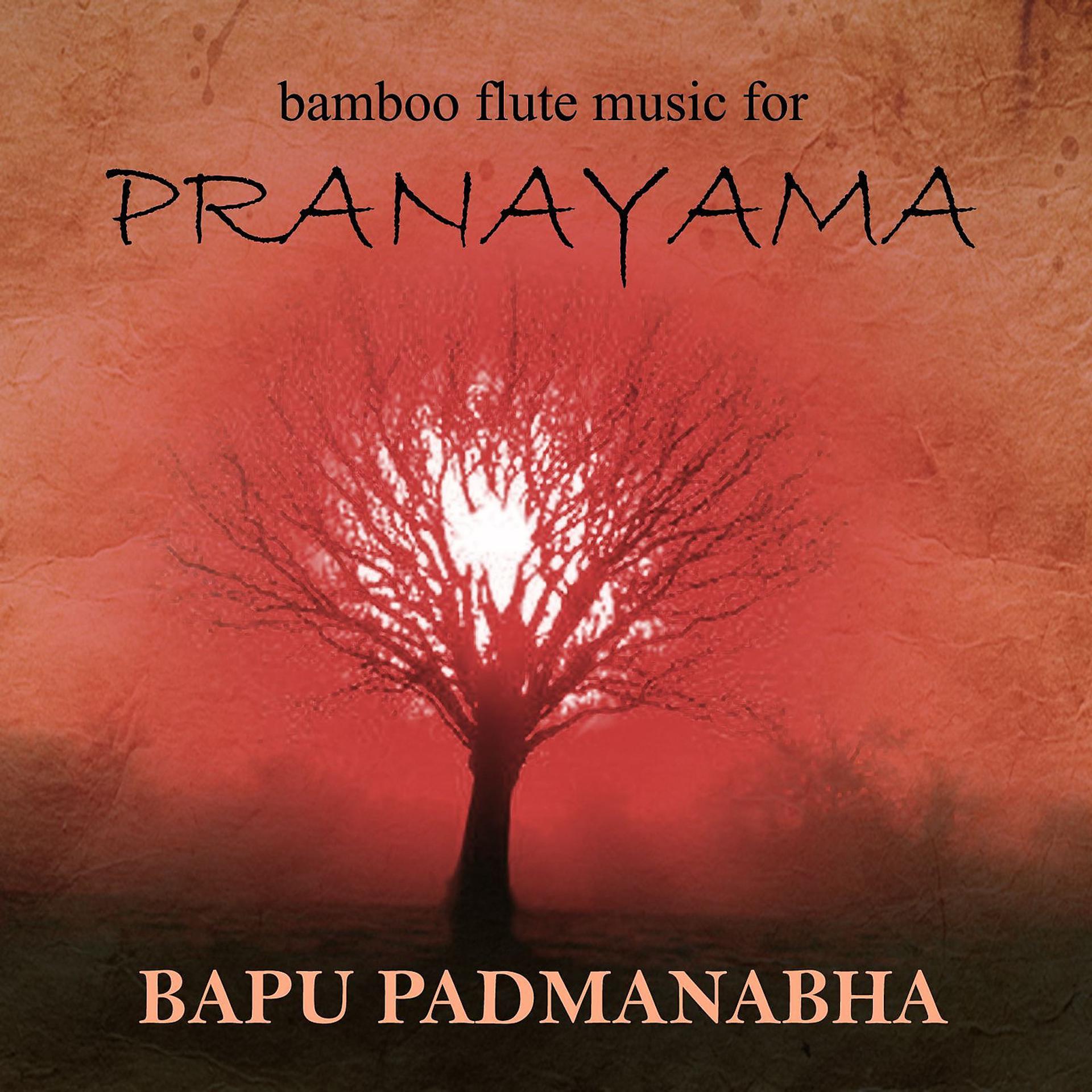 Постер альбома Bamboo Flute Music for Pranayama