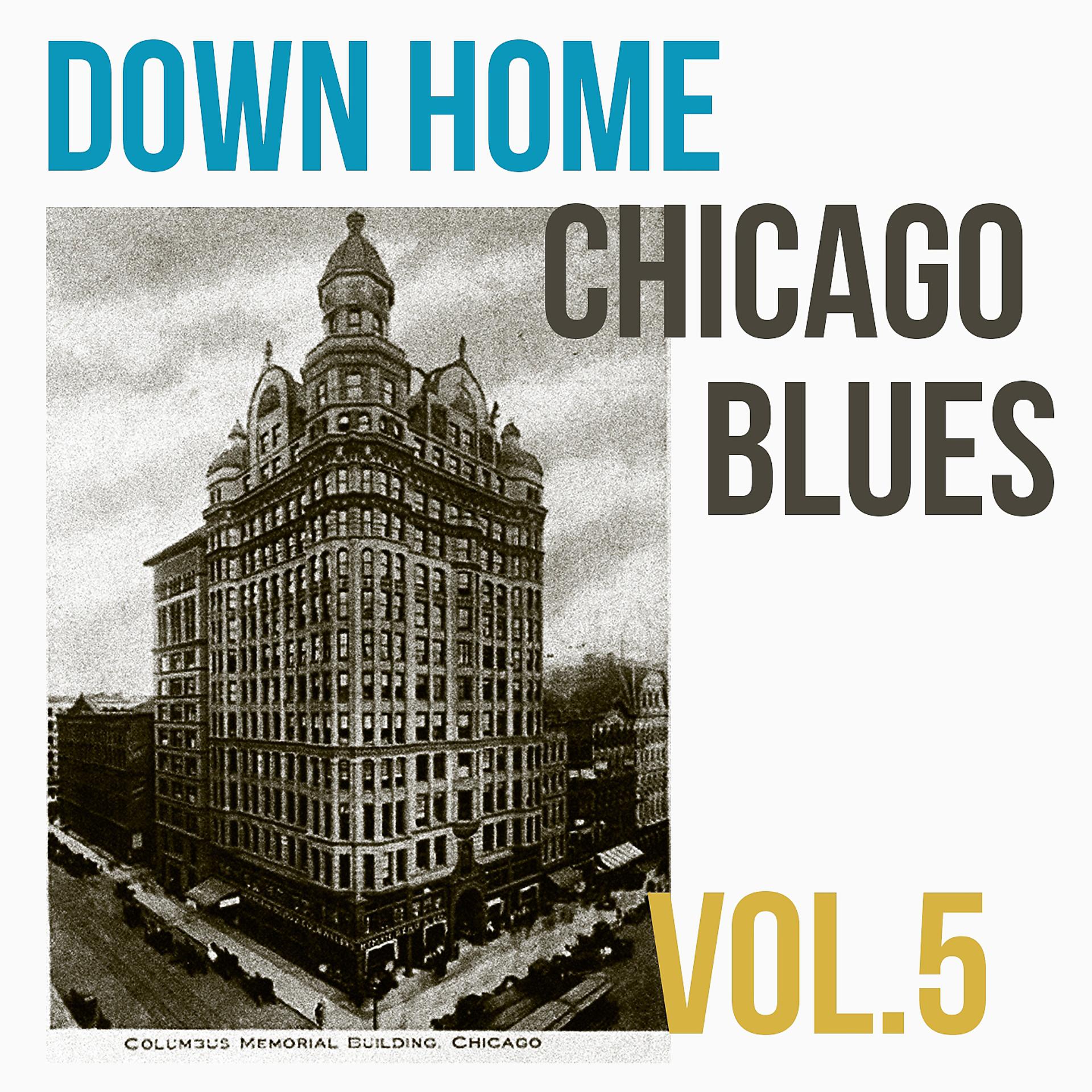 Постер альбома Down Home Chicago Blues, Vol. 5