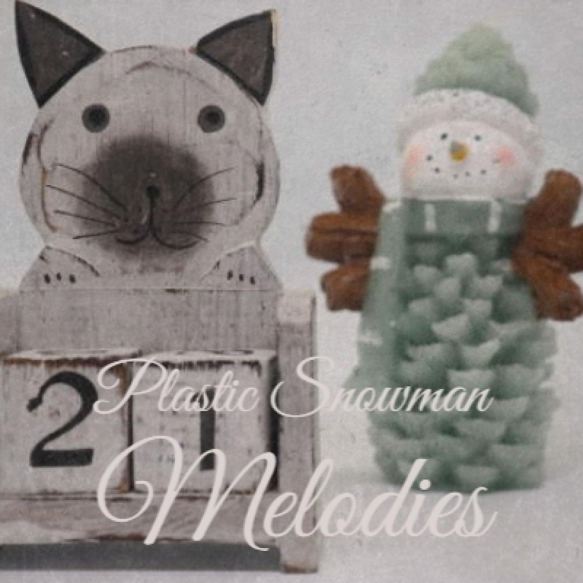 Постер альбома Plastic Snowman Melodies