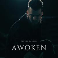 Постер альбома Awoken