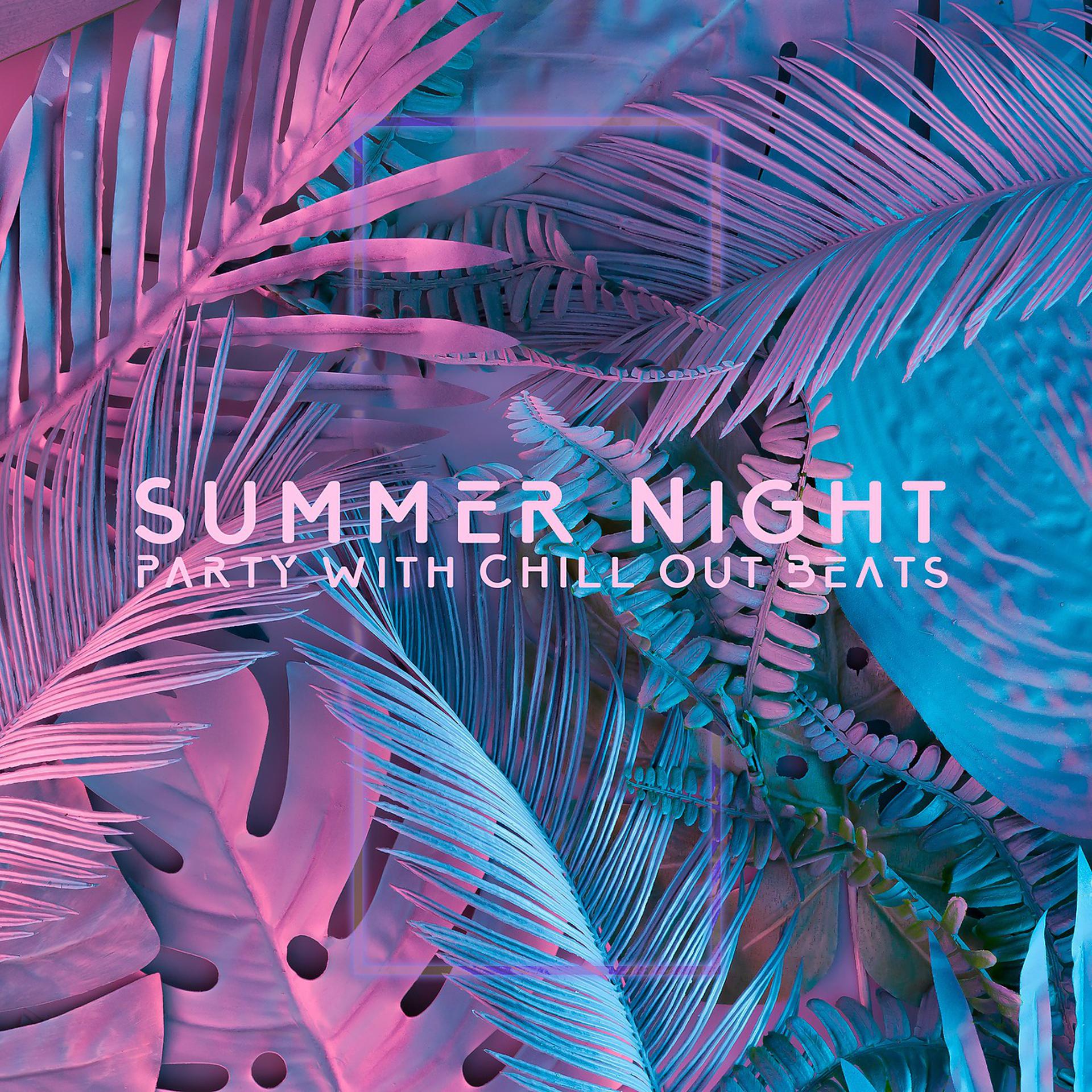 Постер альбома Summer Night Party with Chill Out Beats