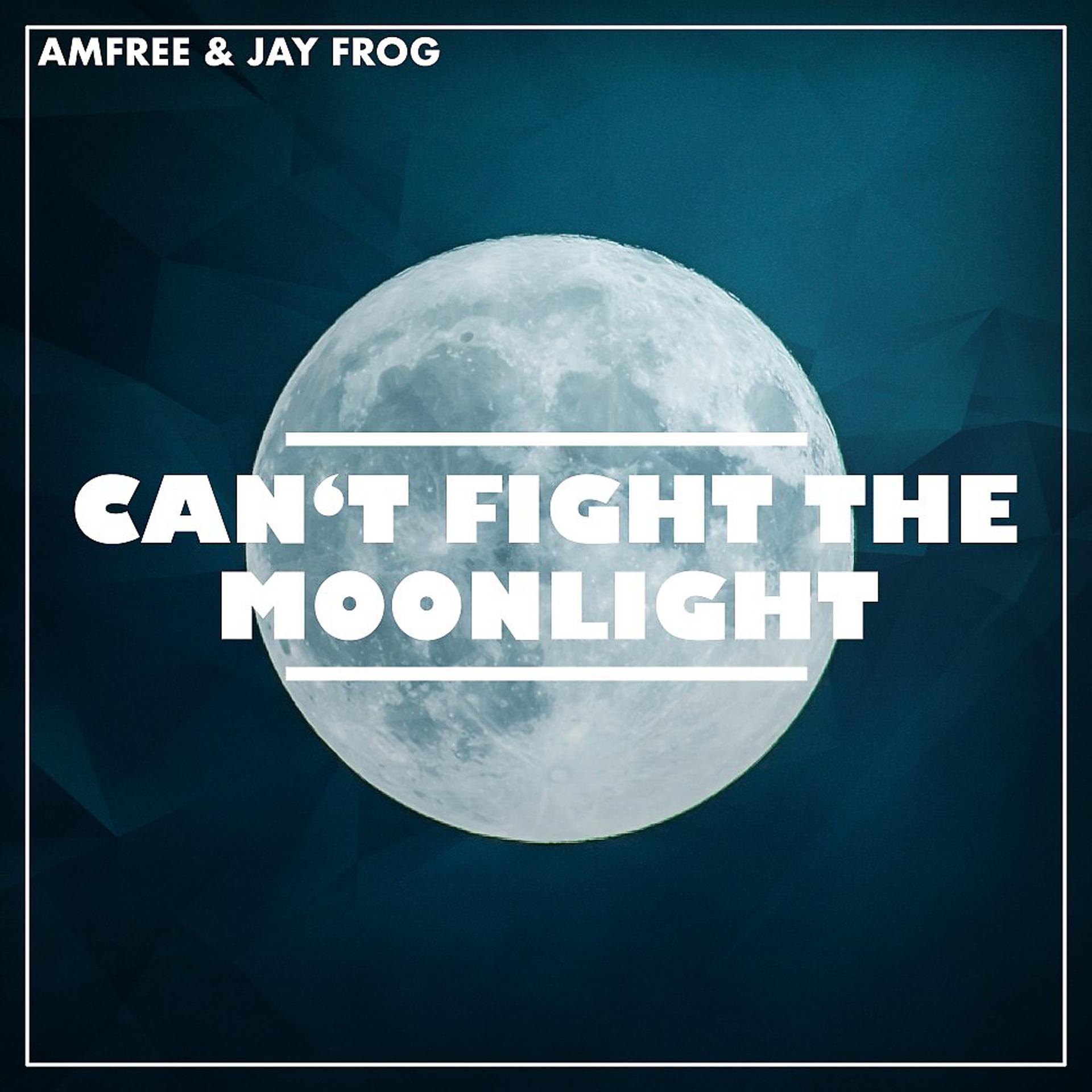 Постер альбома Can't Fight the Moonlight