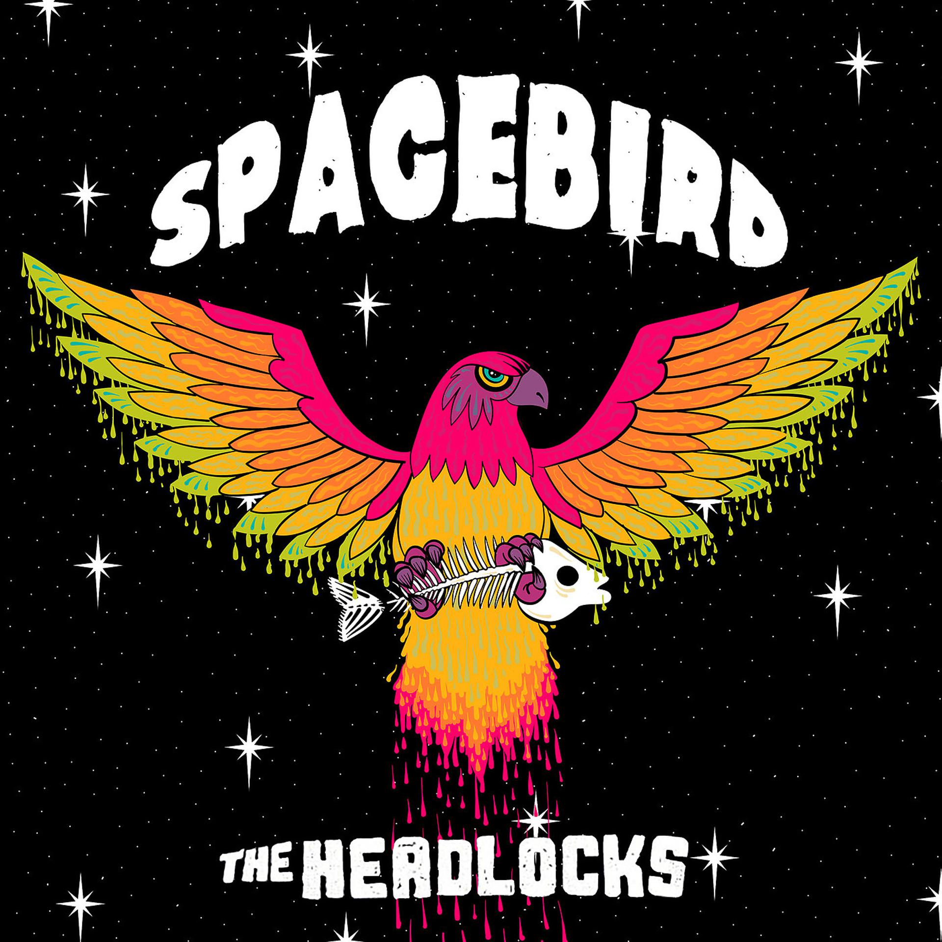 Постер альбома SpaceBird