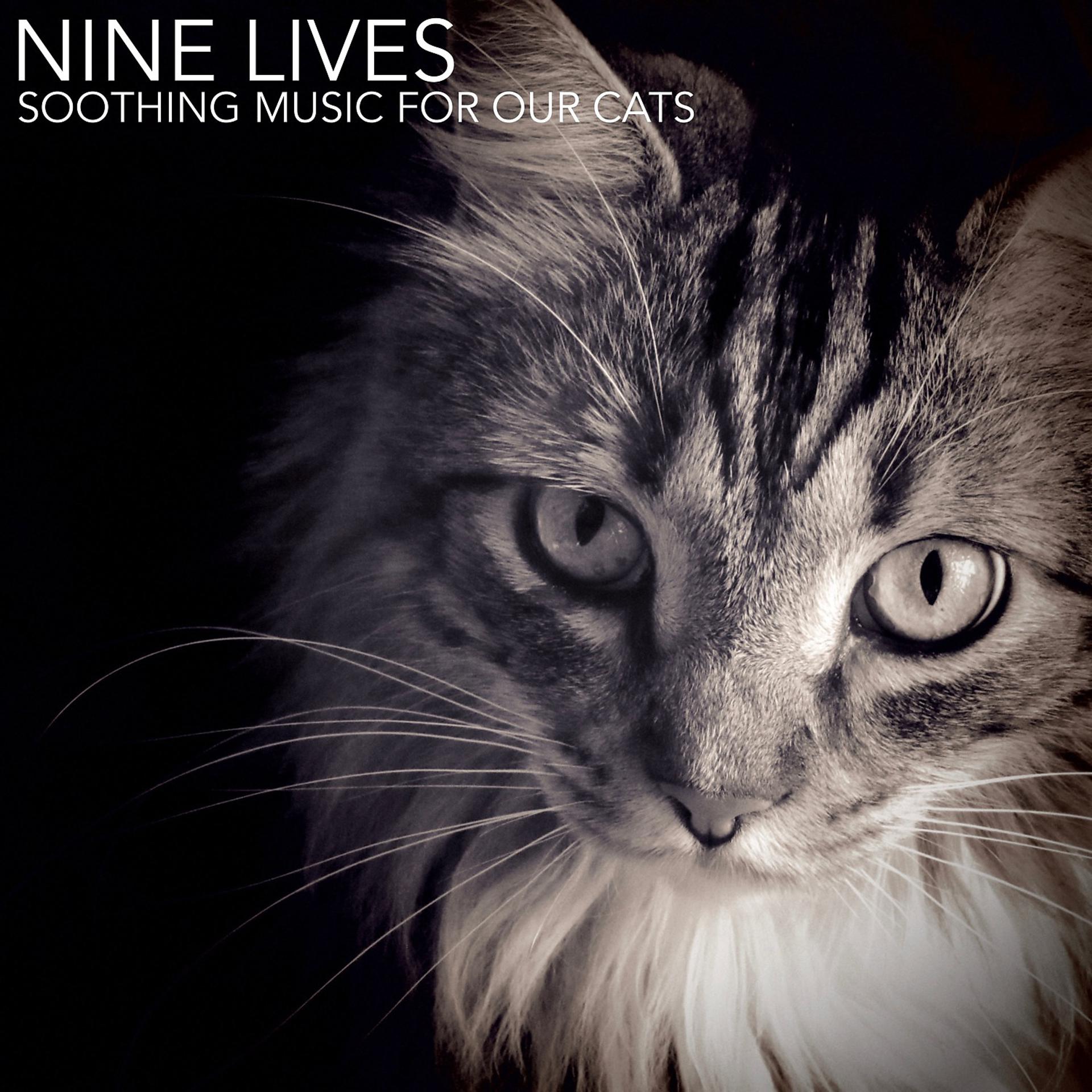 Постер альбома Nine Lives (Soothing Music for Our Cats)