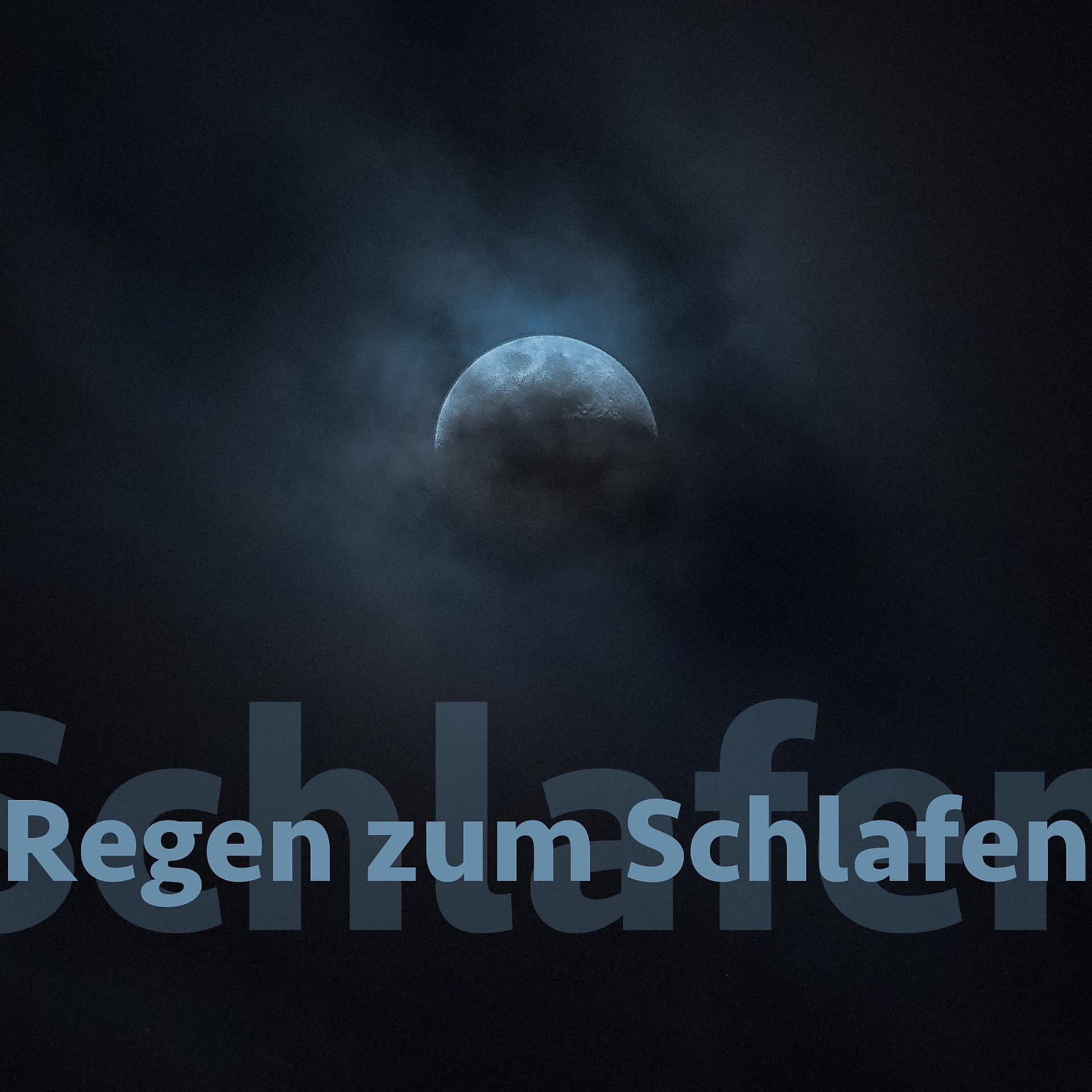 Постер альбома Regen zum Schlafen