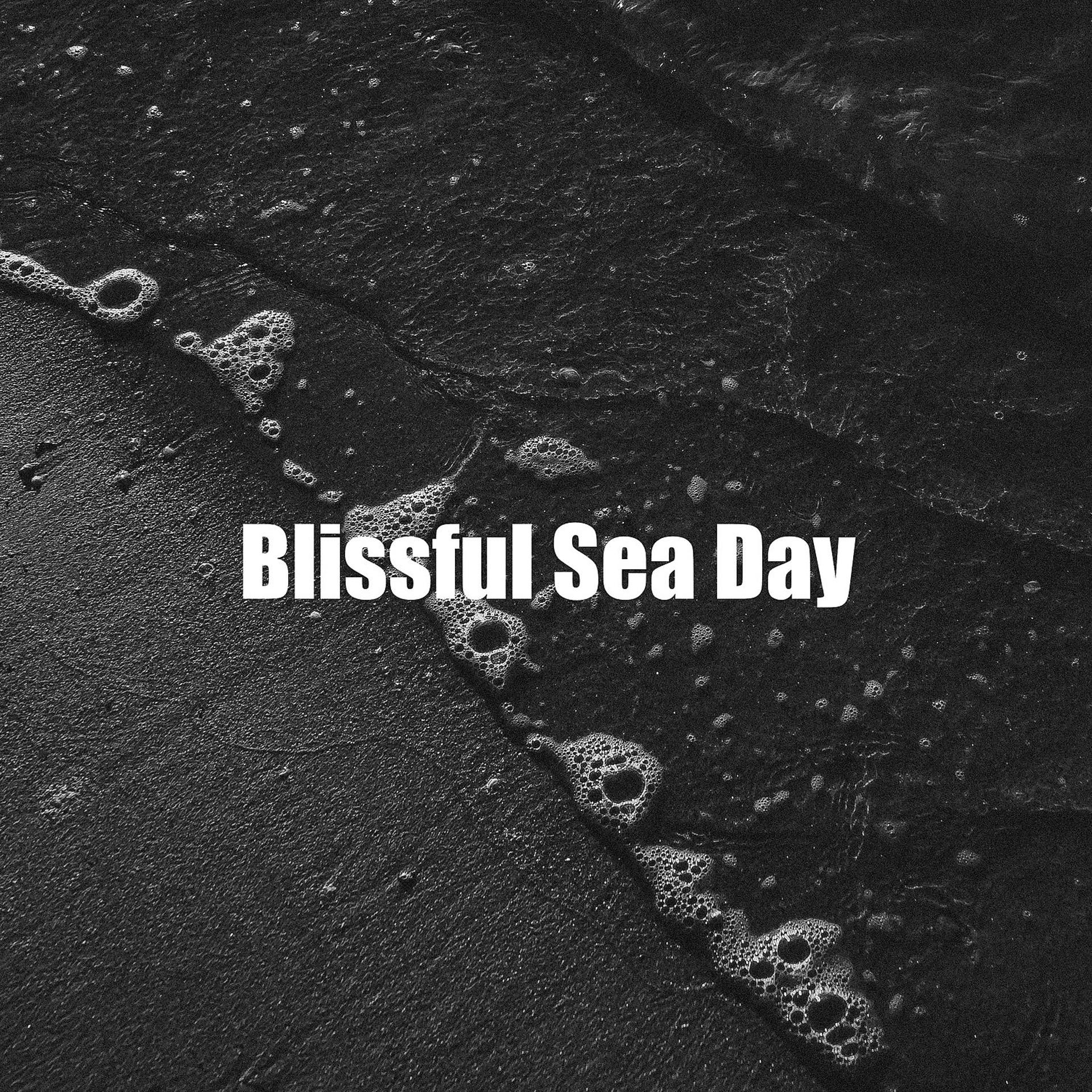 Постер альбома Blissful Sea Day