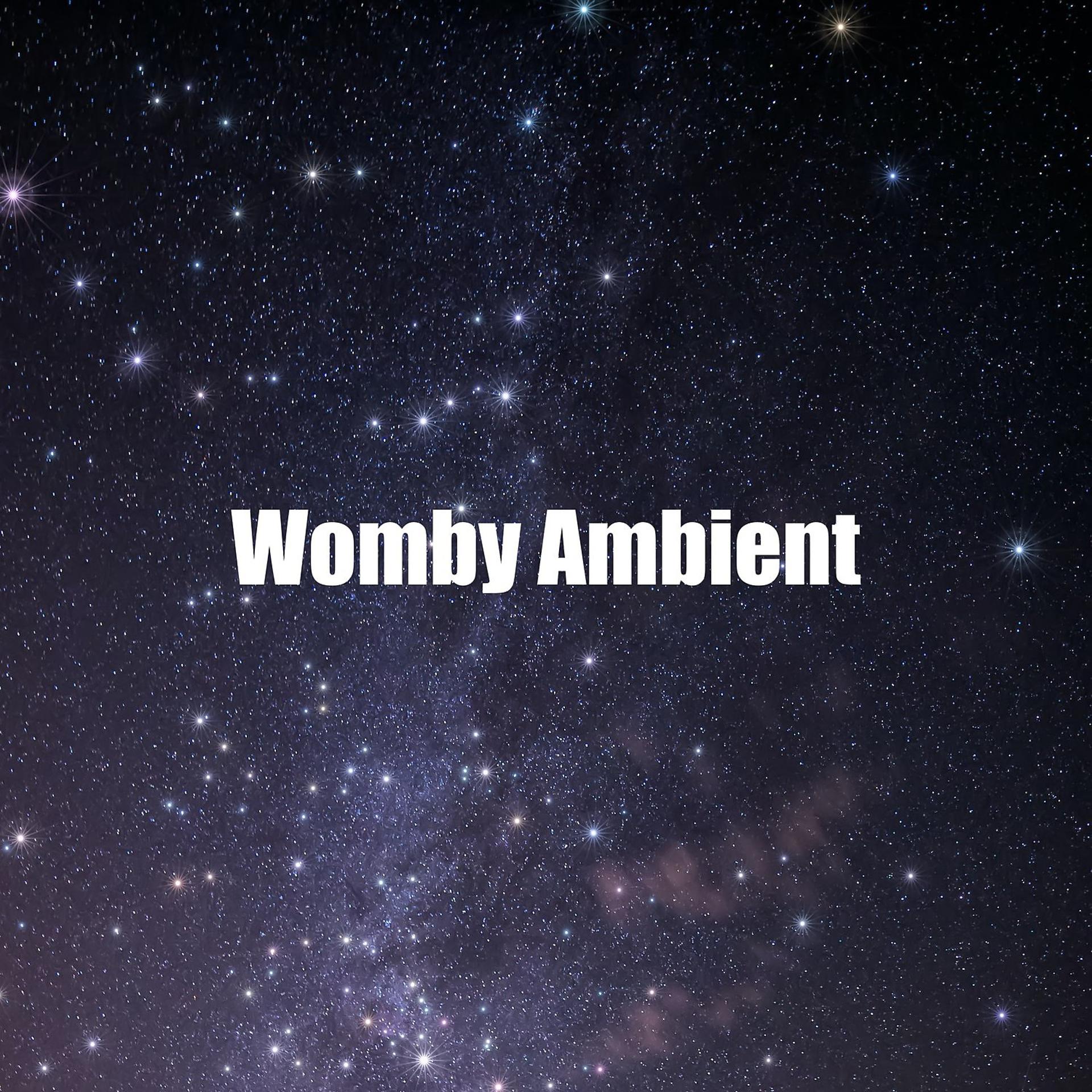 Постер альбома Womby Ambient