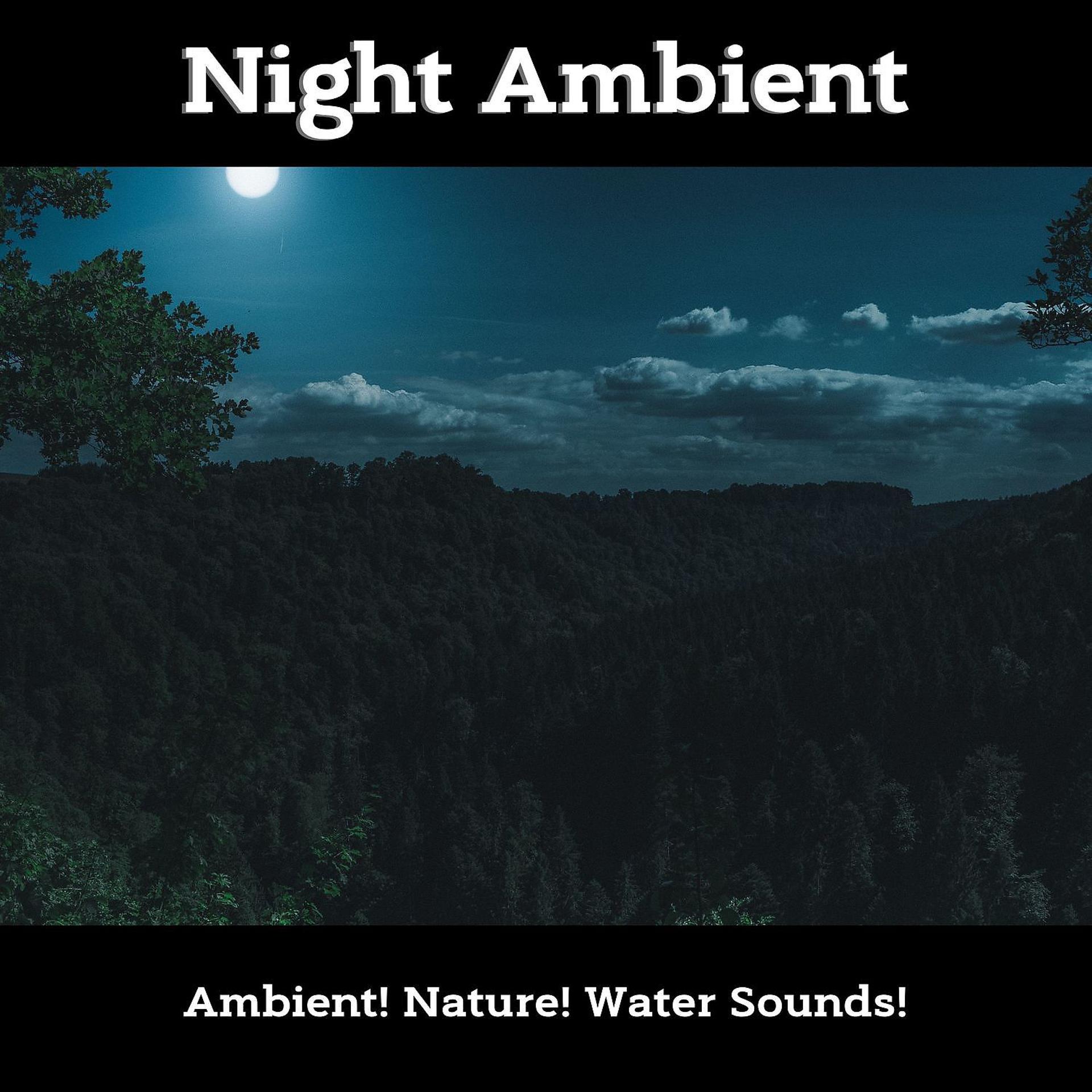 Постер альбома Night Ambient