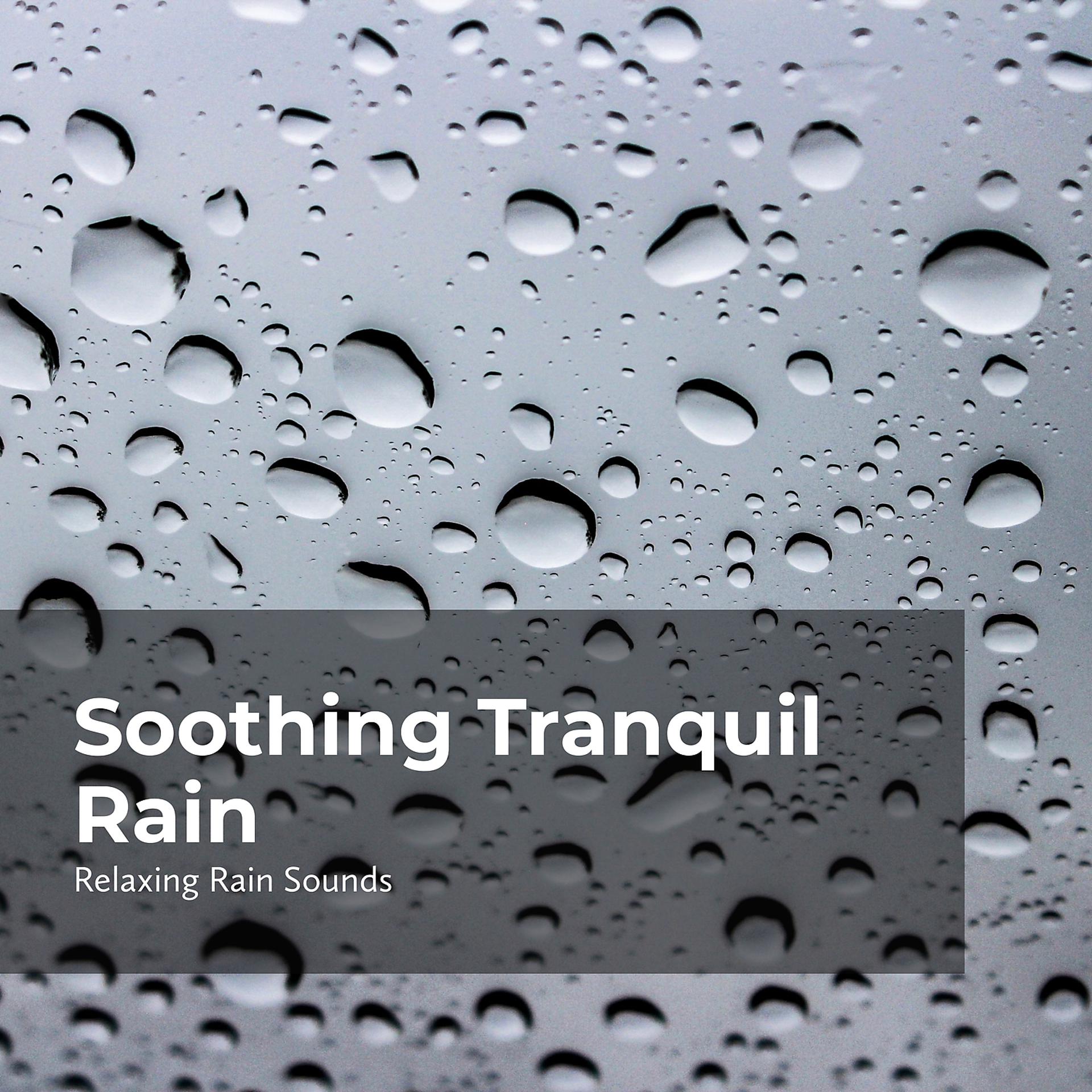 Постер альбома Soothing Tranquil Rain