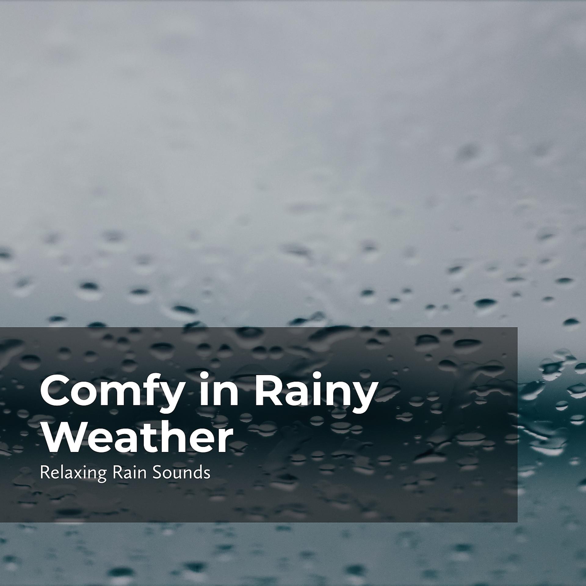 Постер альбома Comfy in Rainy Weather