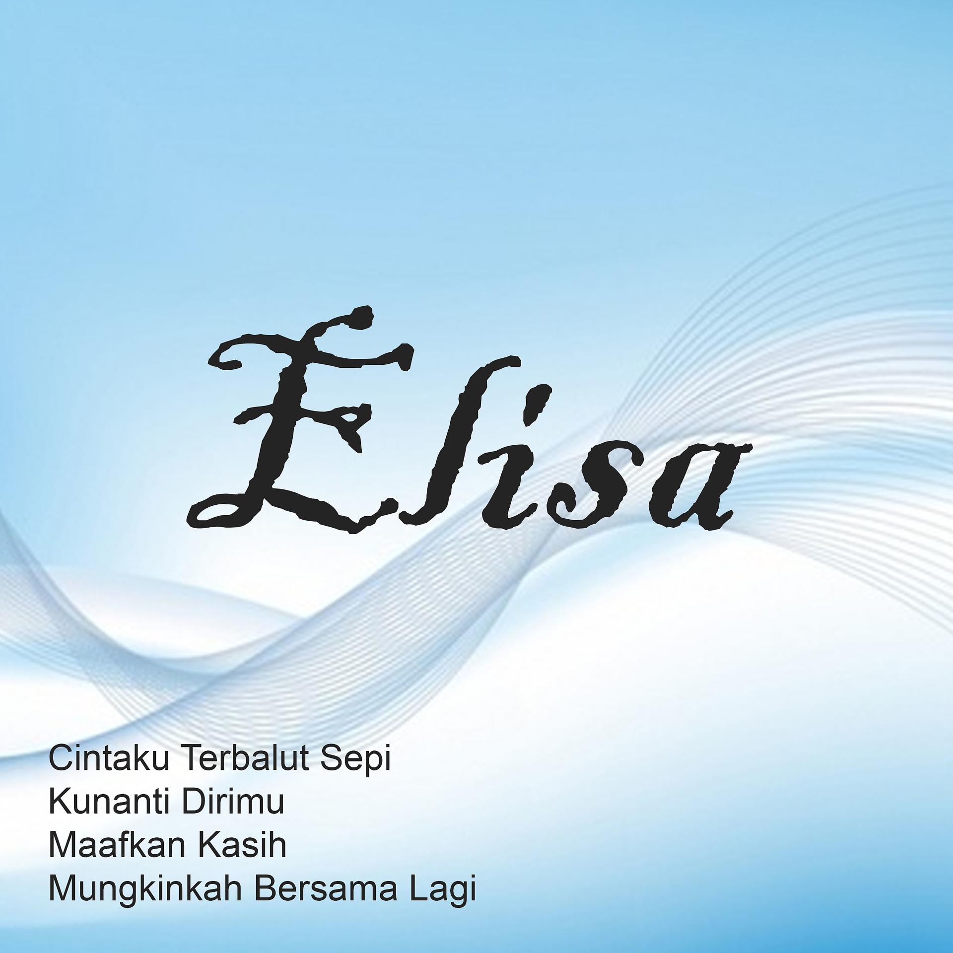 Постер альбома Elisa Album