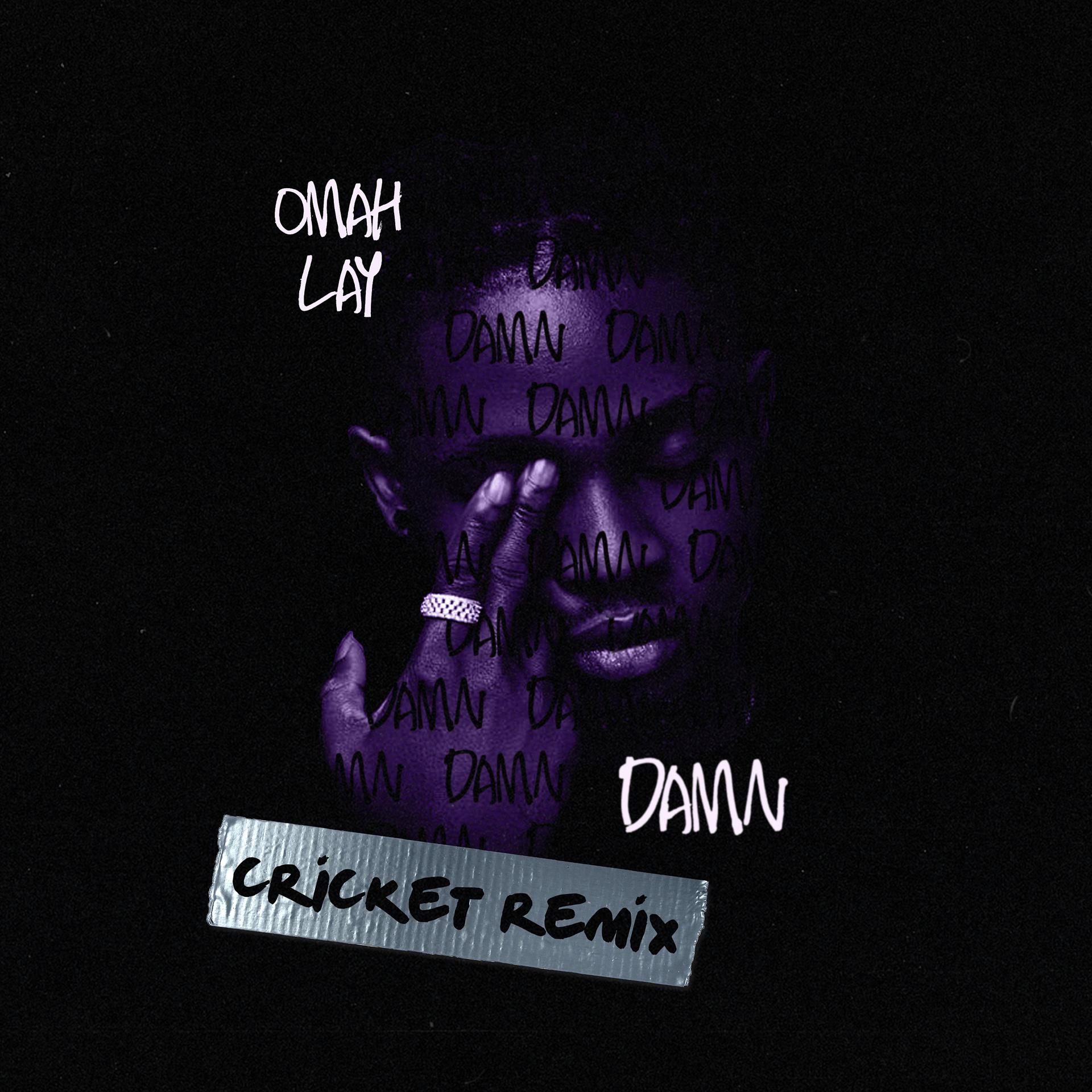 Постер альбома Damn (Cricket Remix)
