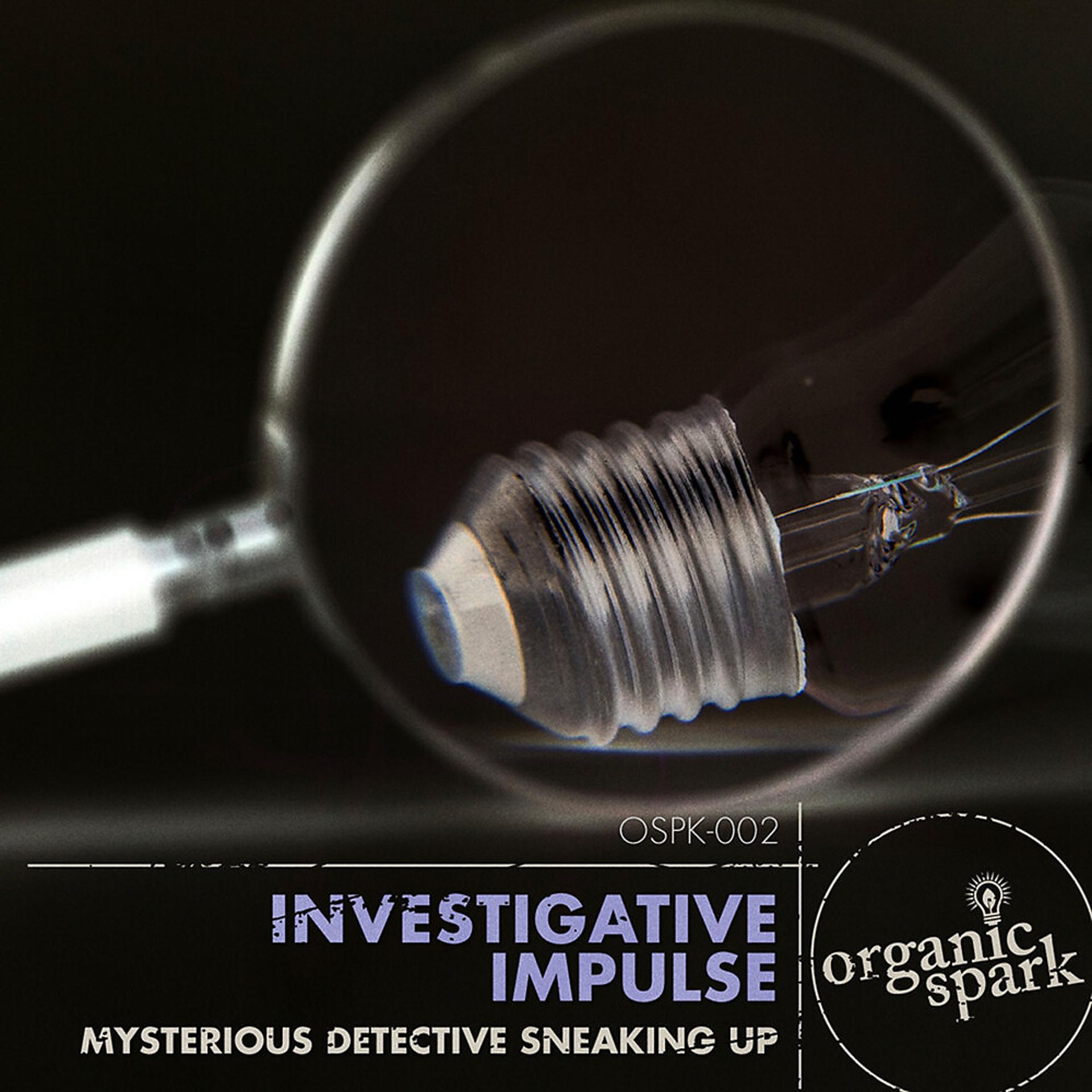 Постер альбома Investigative Impulse