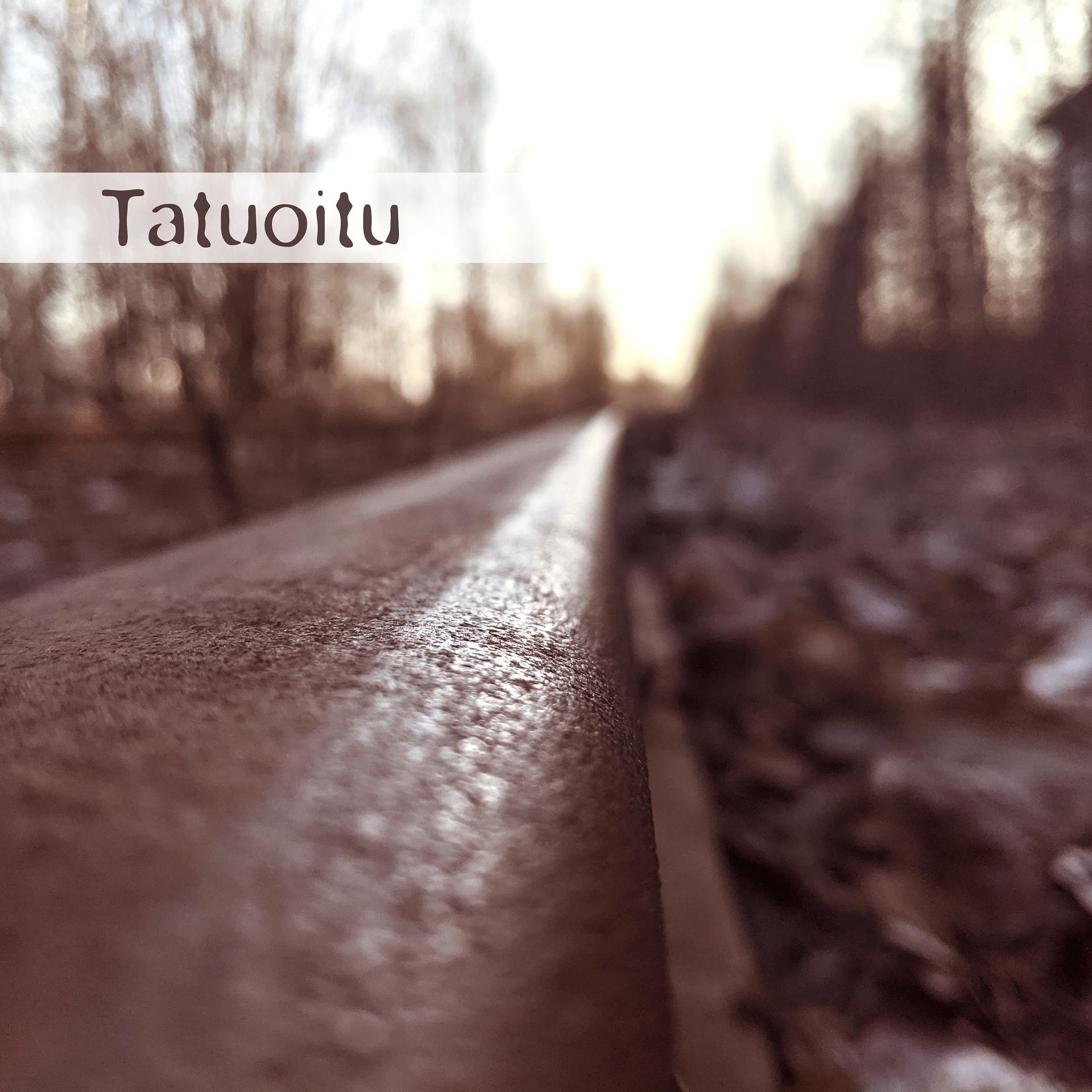 Постер альбома Tatuoitu