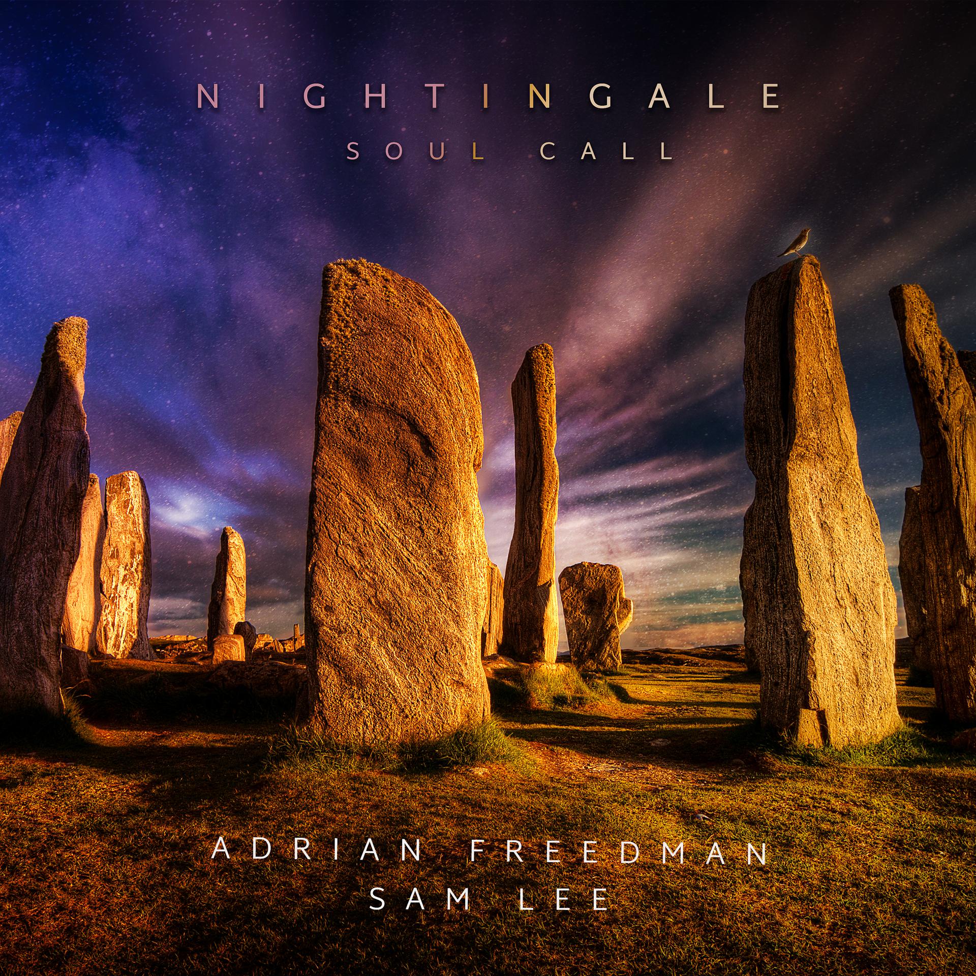 Постер альбома Nightingale Soul Call