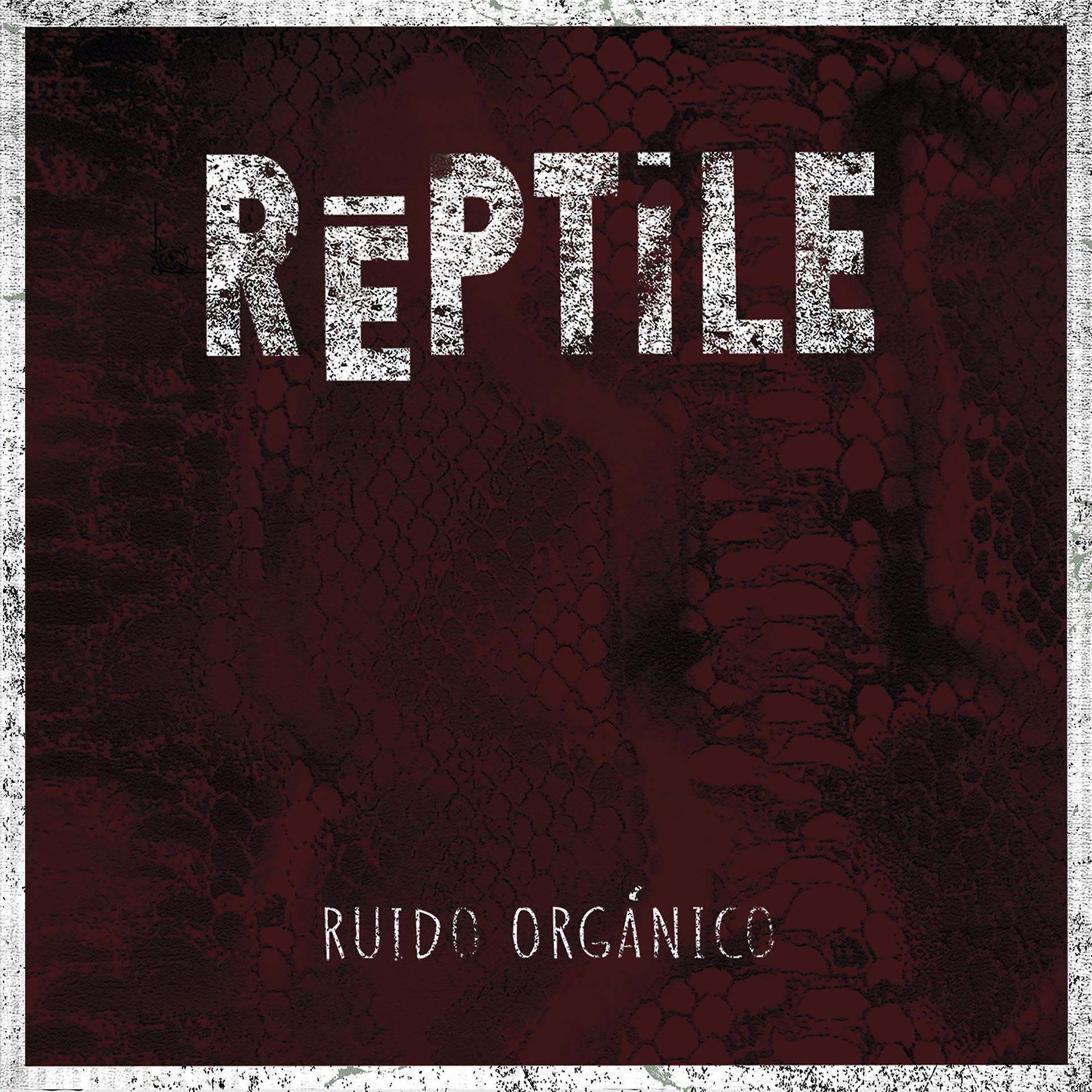 Постер альбома Ruido Orgánico