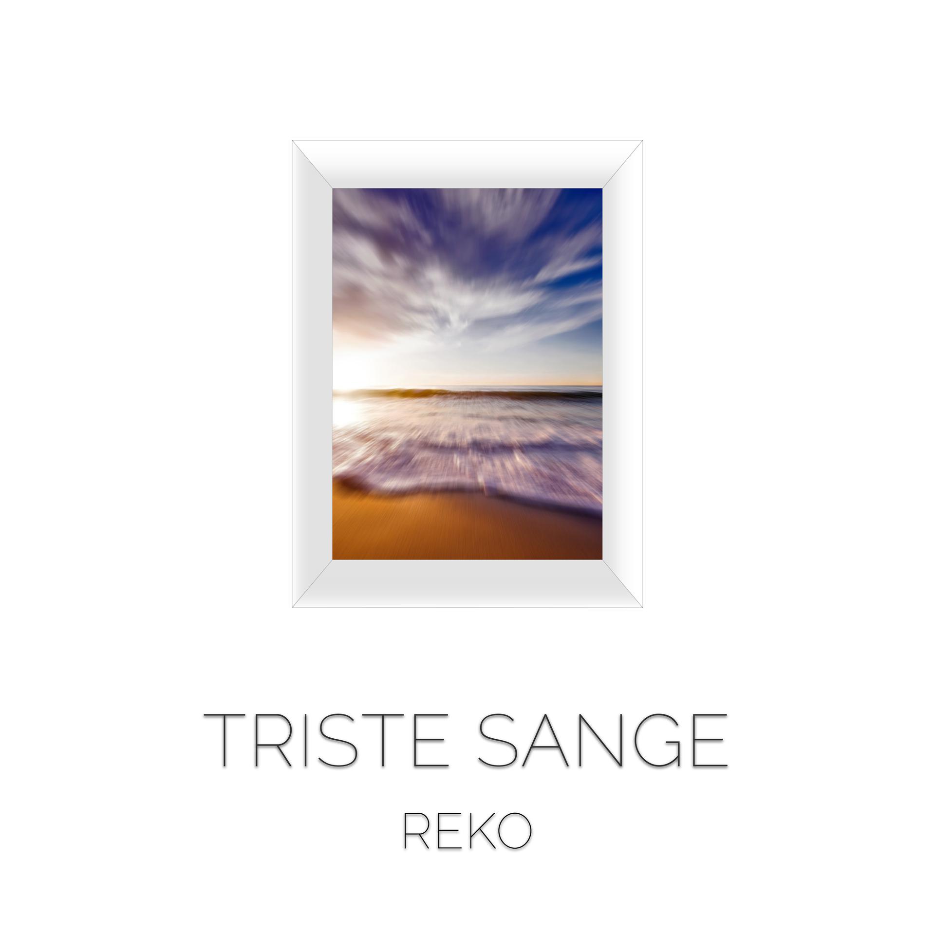 Постер альбома Triste Sange