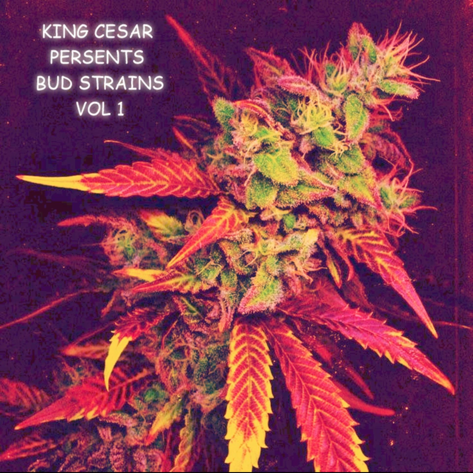 Постер альбома Bud Strains, Vol. 1 (LP)
