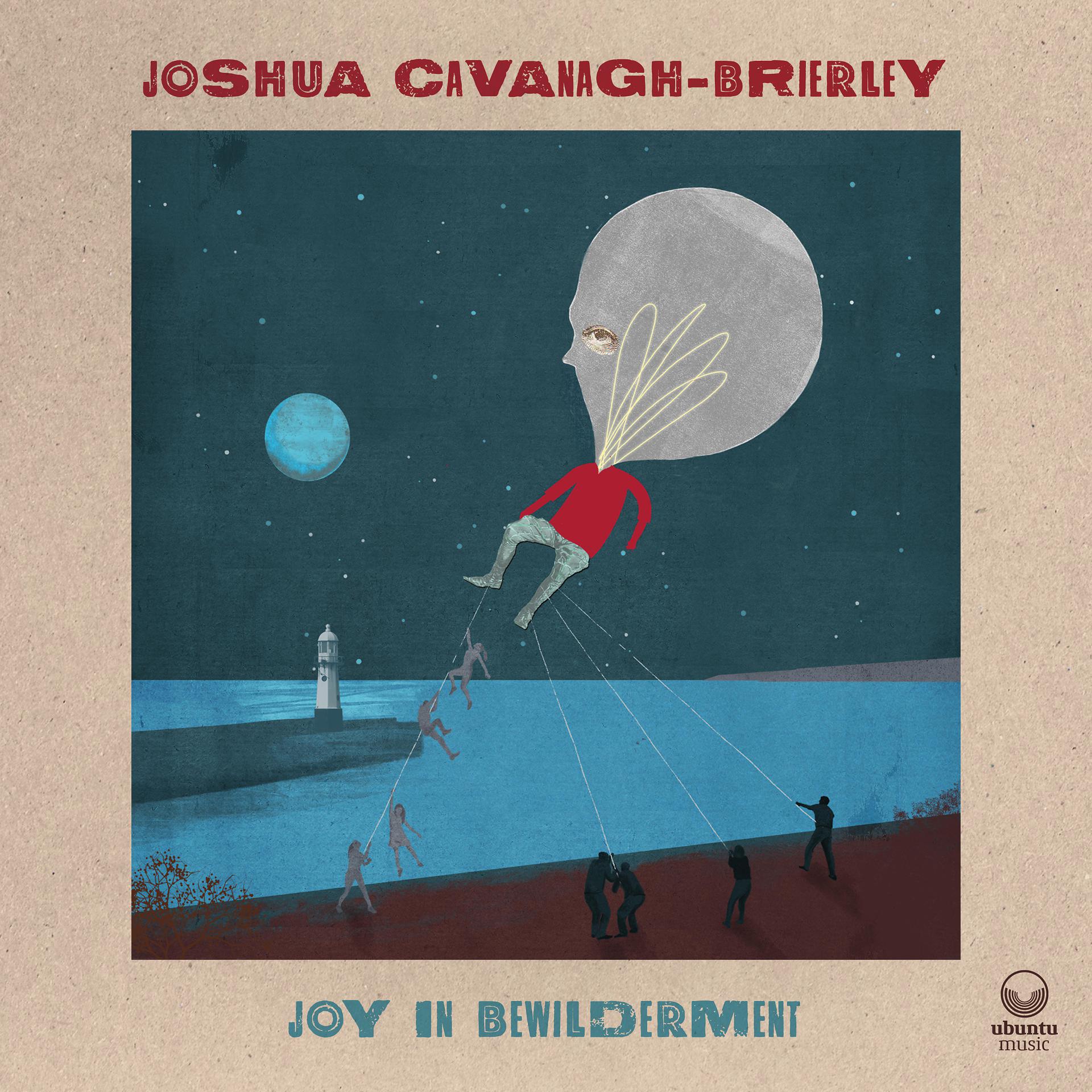 Постер альбома Joy in Bewilderment