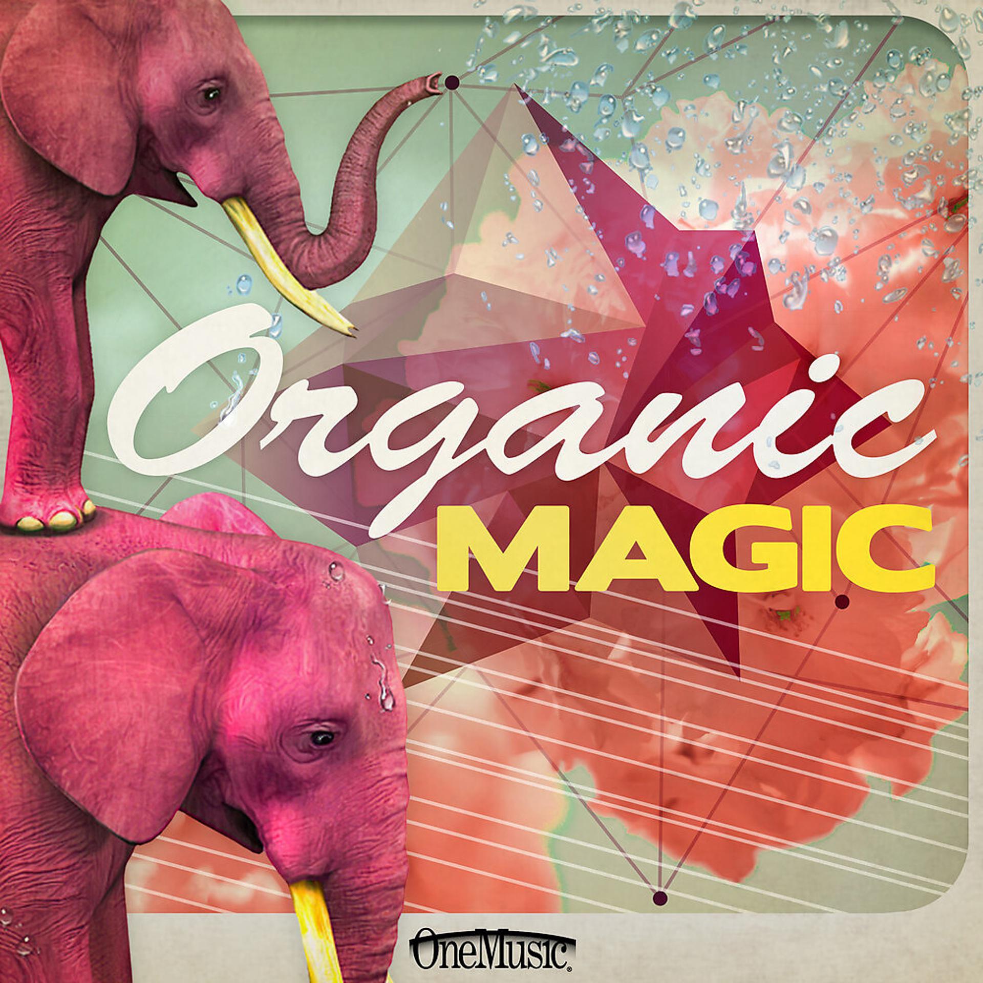 Постер альбома Organic Magic