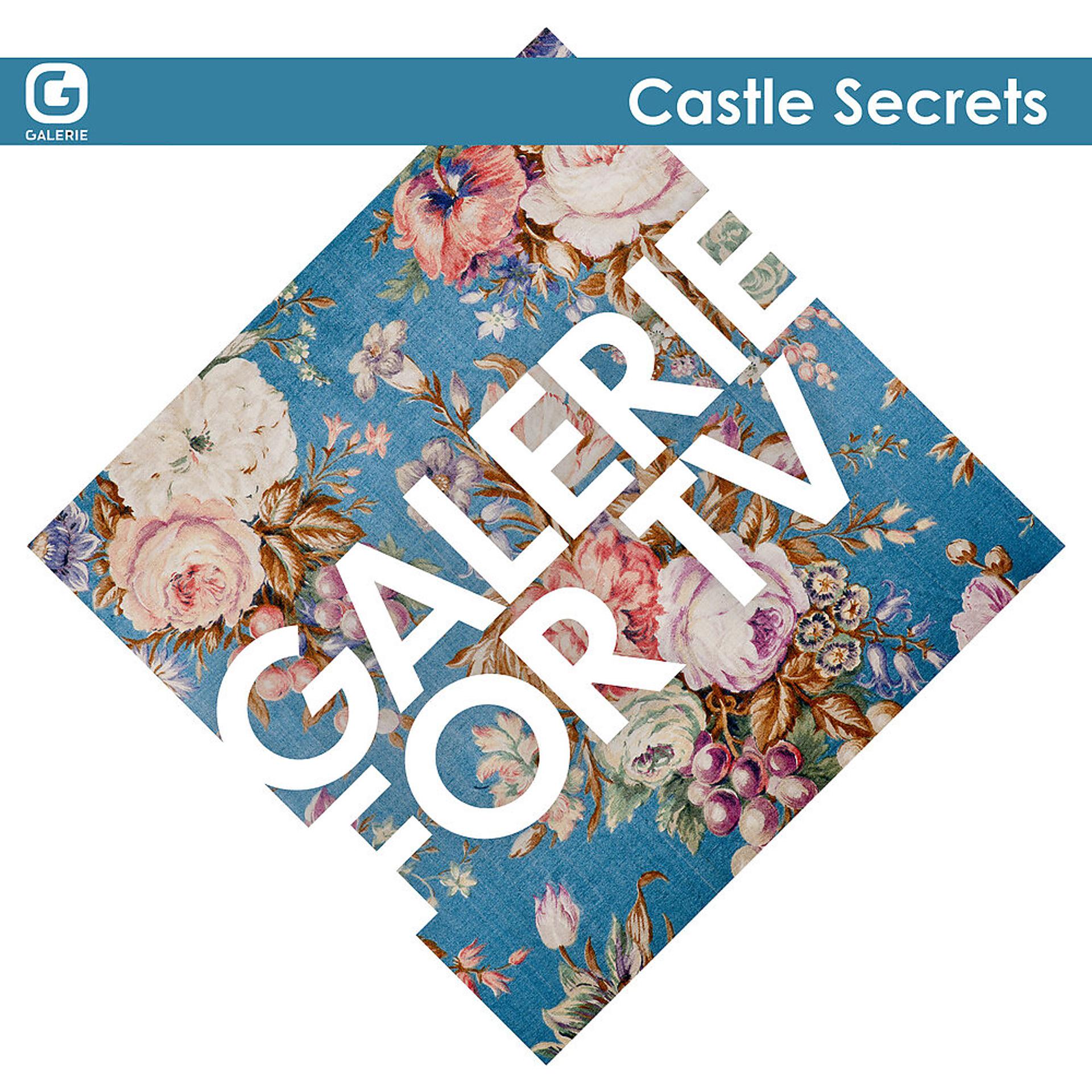 Постер альбома Galerie for TV - Castle Secrets