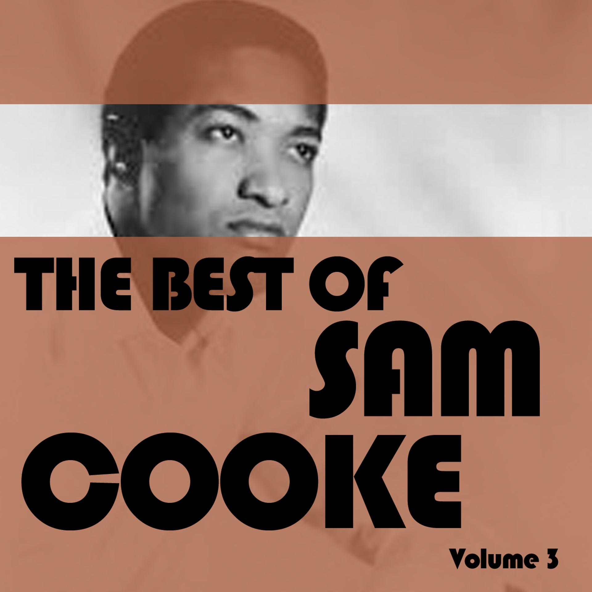Постер альбома The Best of Sam Cooke, Vol. 3