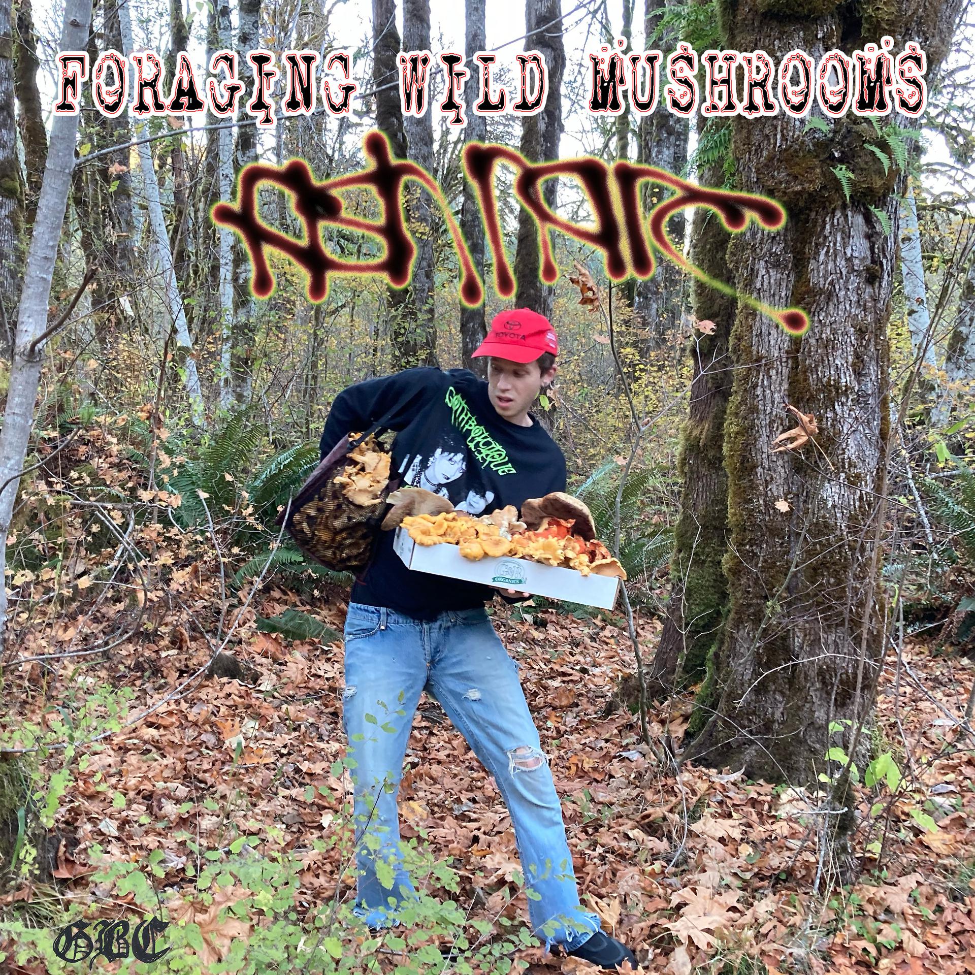 Постер альбома Foraging Wild Mushrooms
