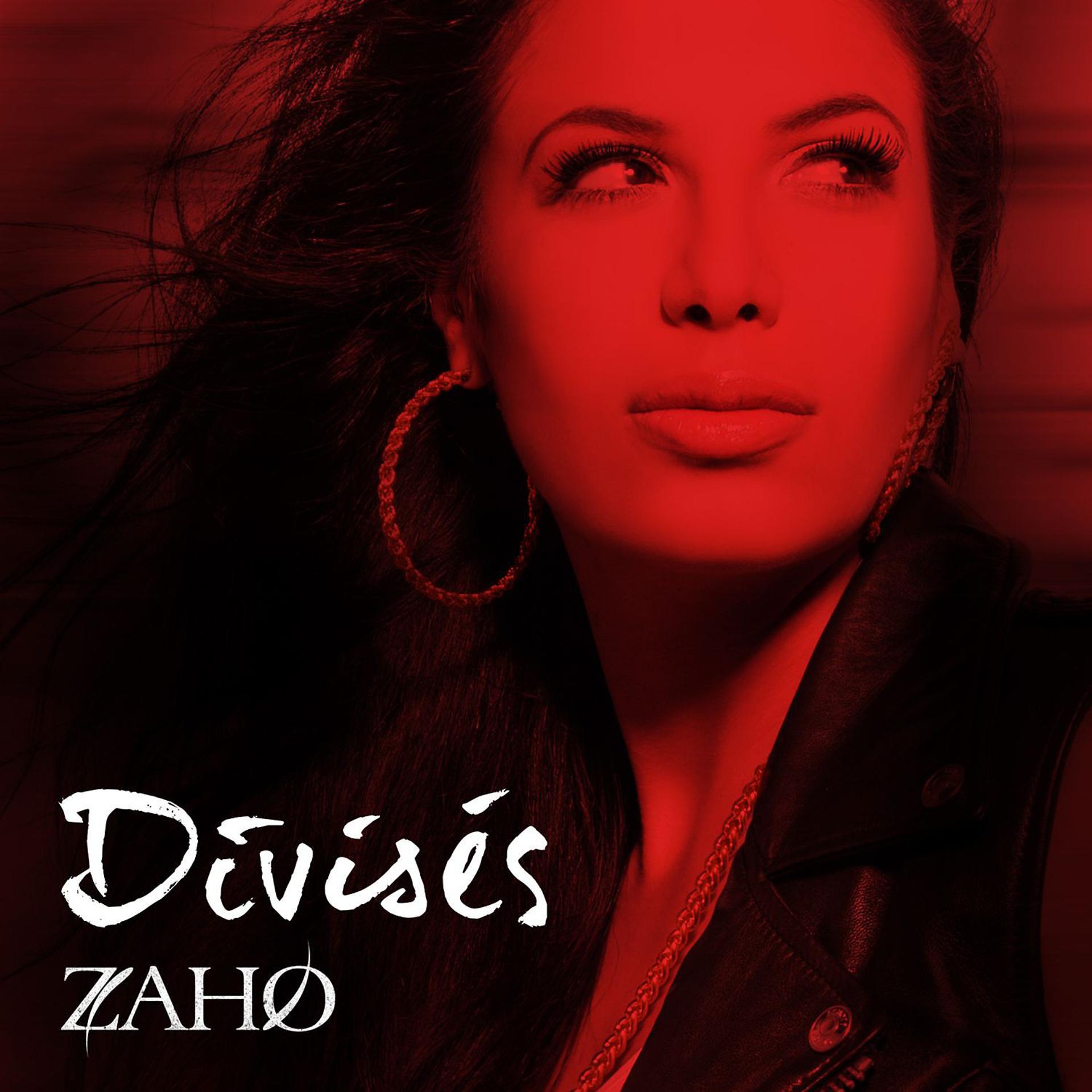 Постер альбома Divisés (Version radio)