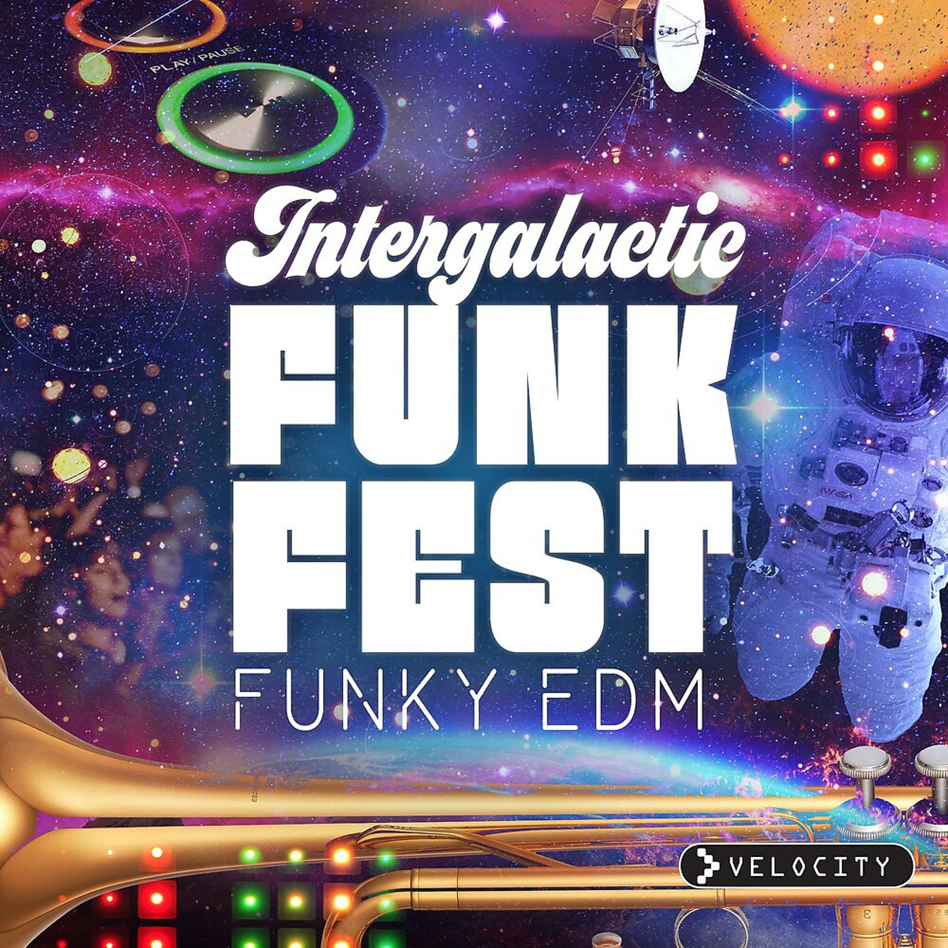 Постер альбома Intergalactic Funk Fest