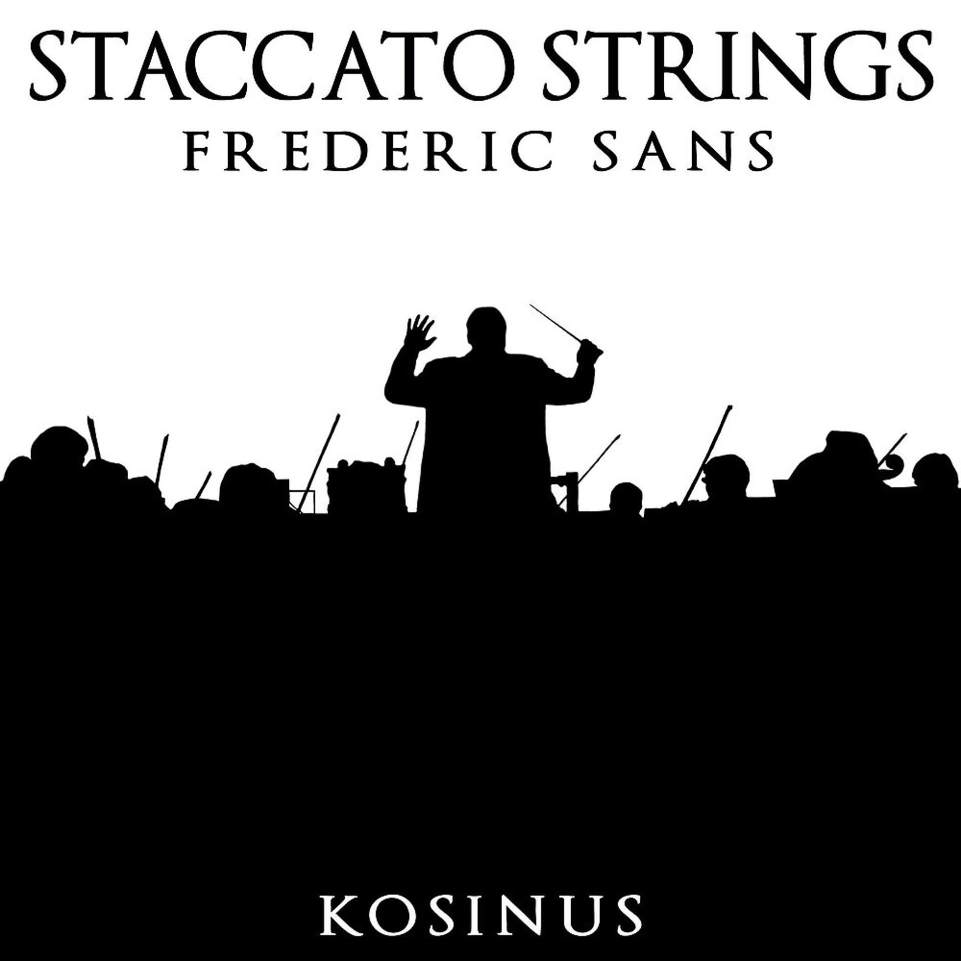 Постер альбома Staccato Strings