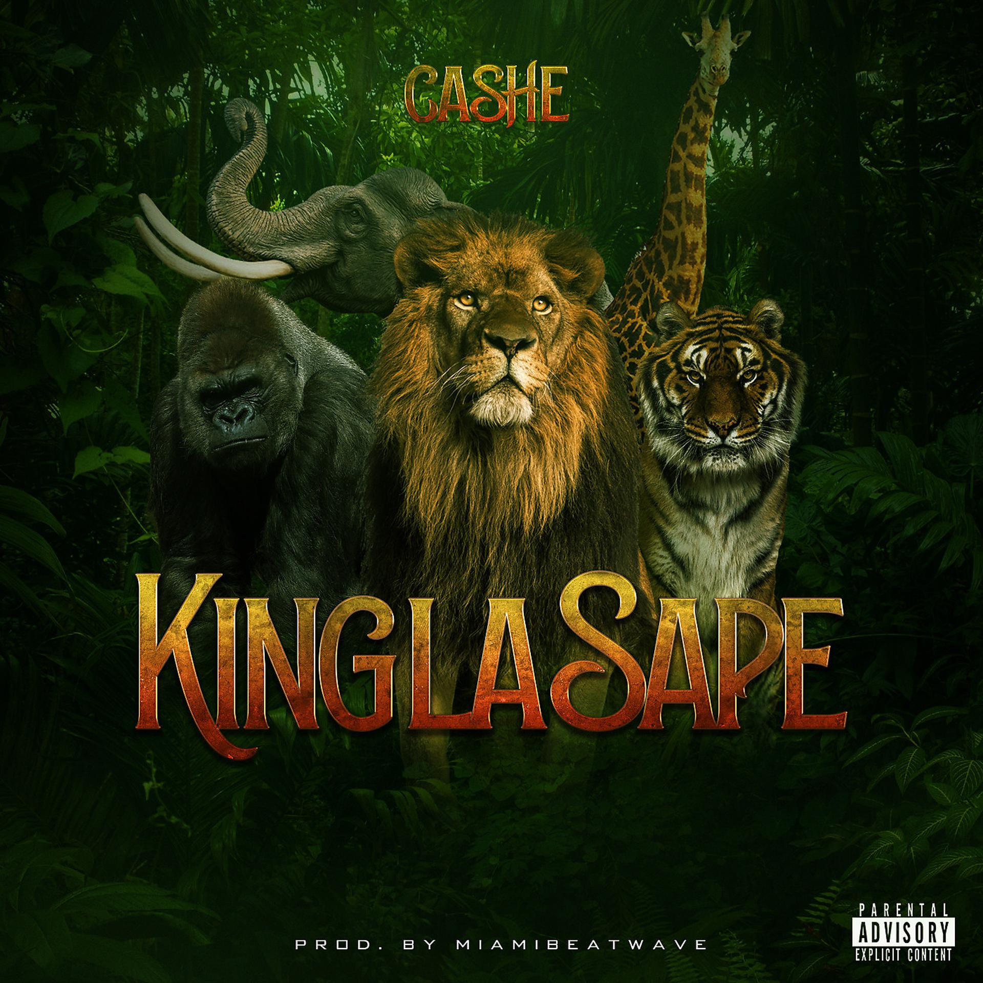 Постер альбома King La Sape