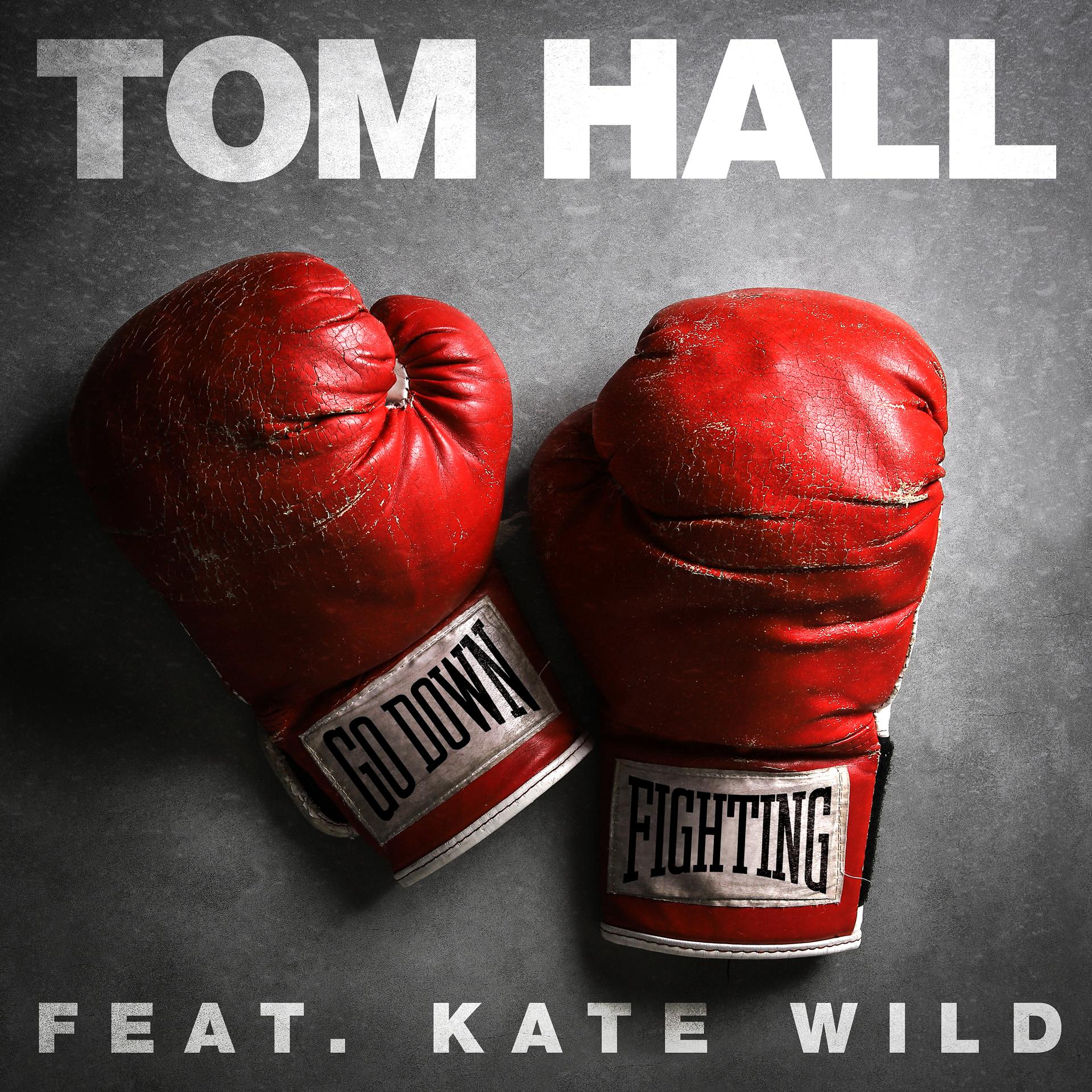 Постер альбома Go Down Fighting (feat. Kate Wild)
