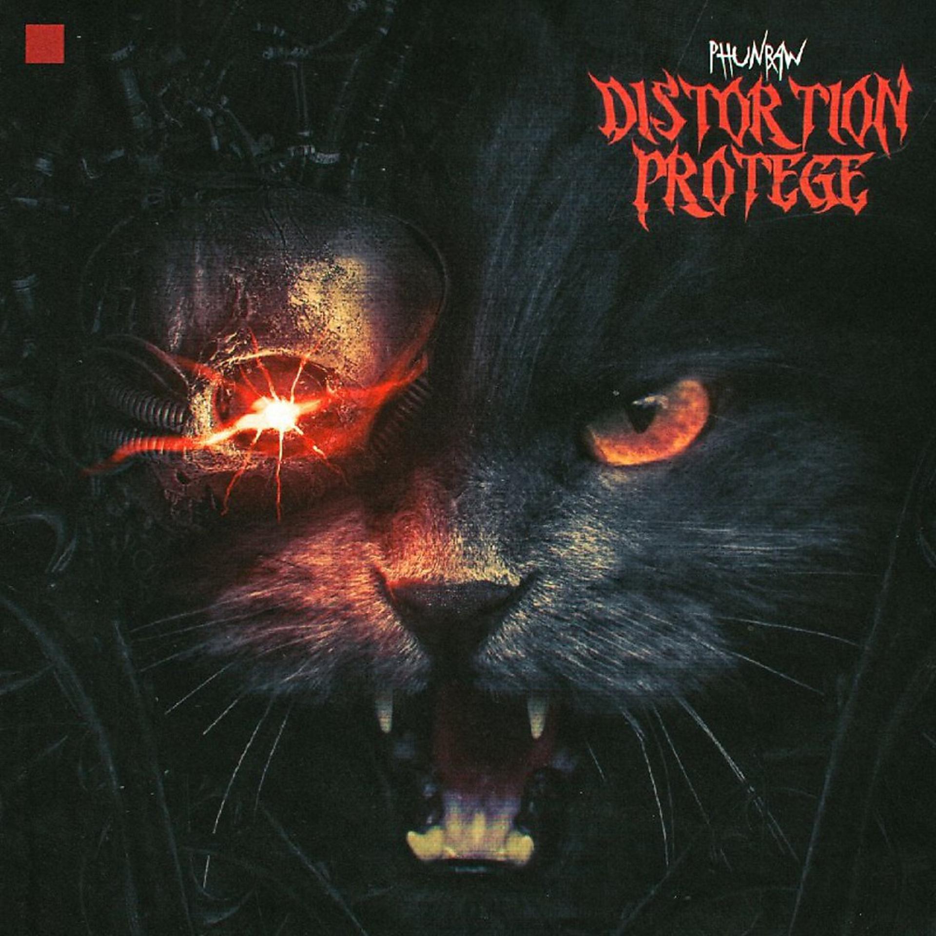 Постер альбома Distortion Protege