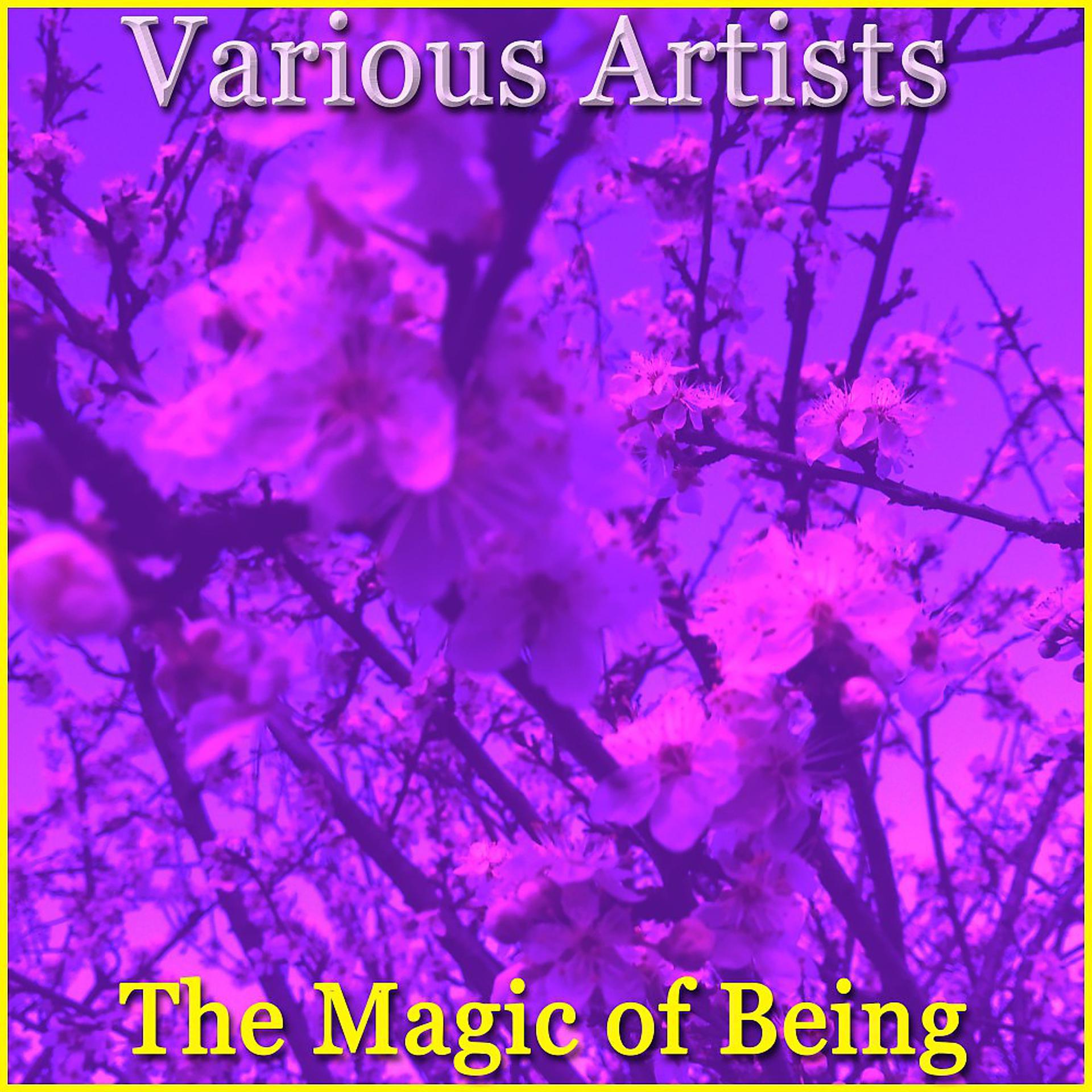 Постер альбома Various Artists - The Magic of Being