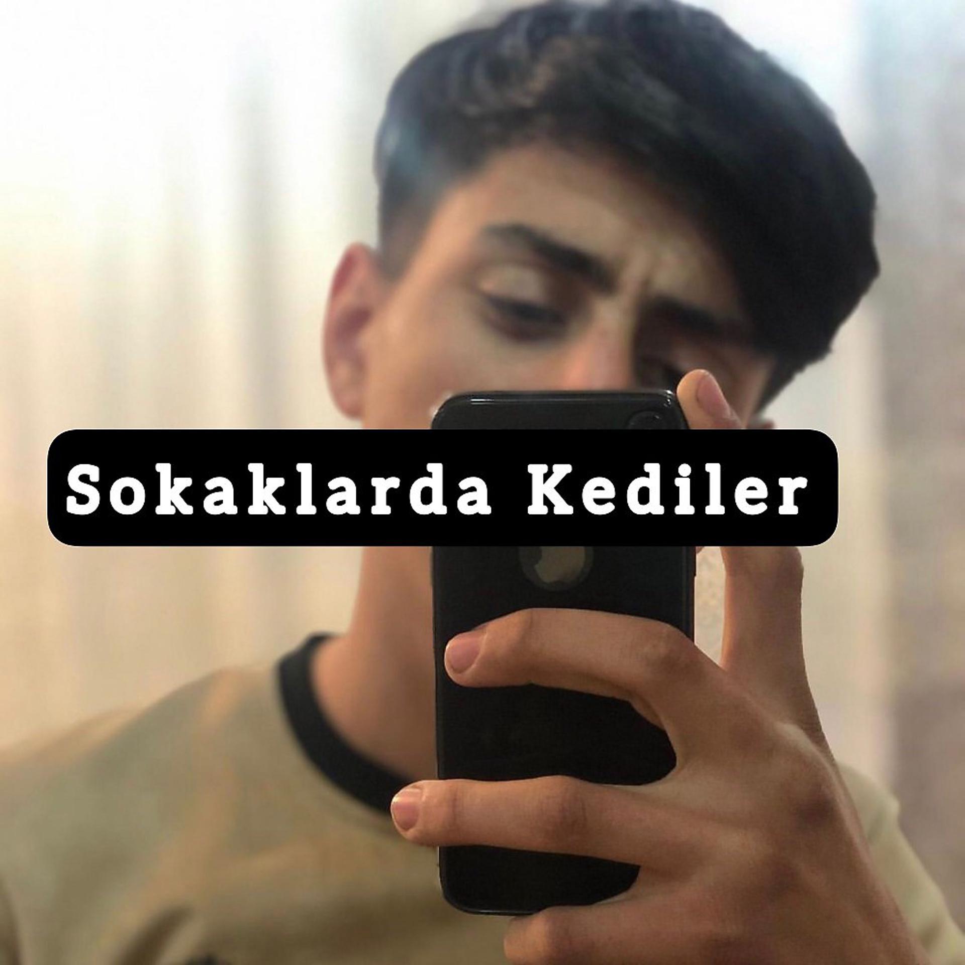 Постер альбома Sokaklarda Kediler