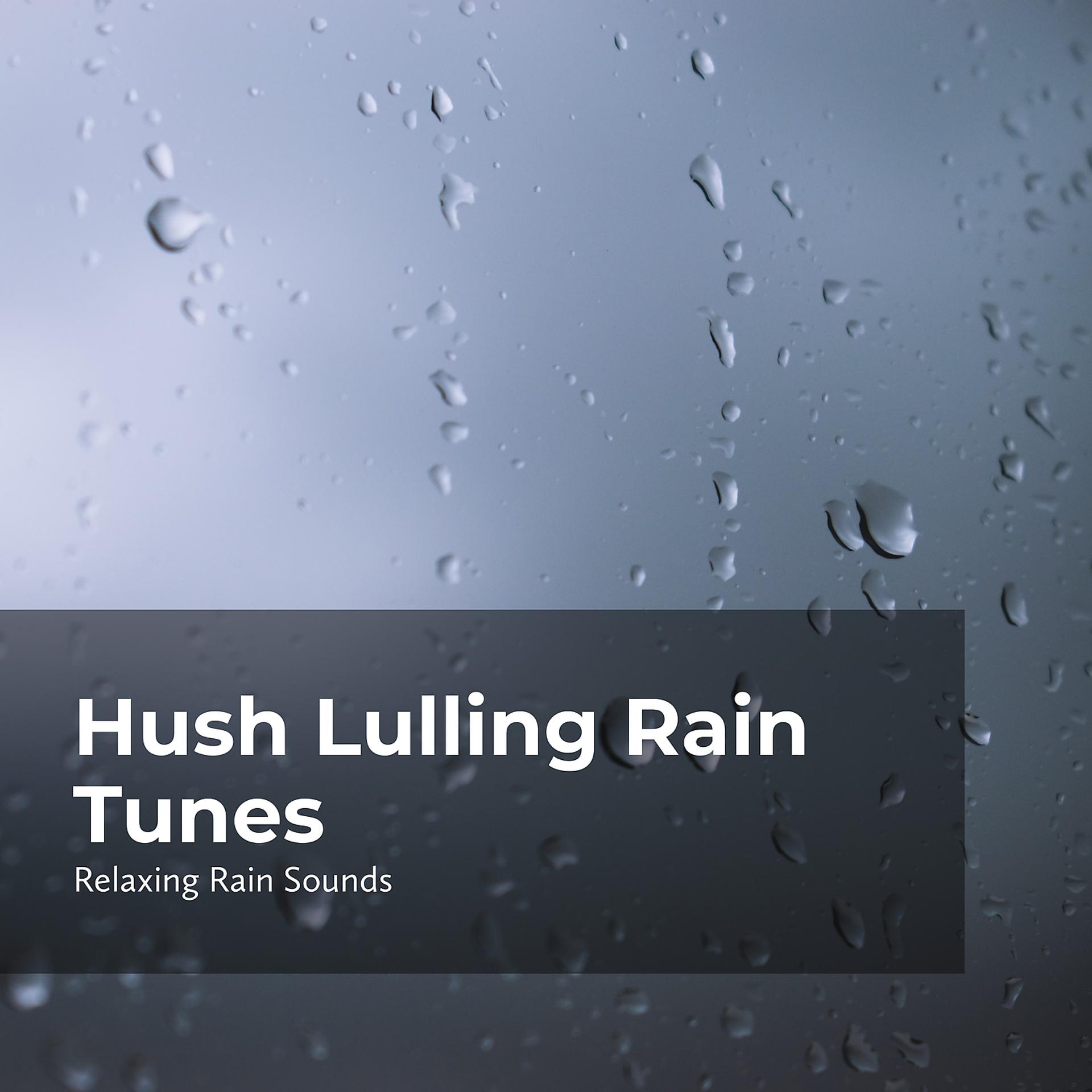 Постер альбома Hush Lulling Rain Tunes
