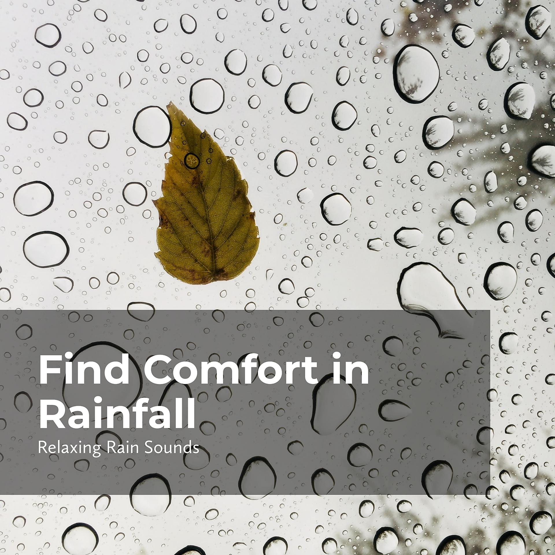 Постер альбома Find Comfort in Rainfall