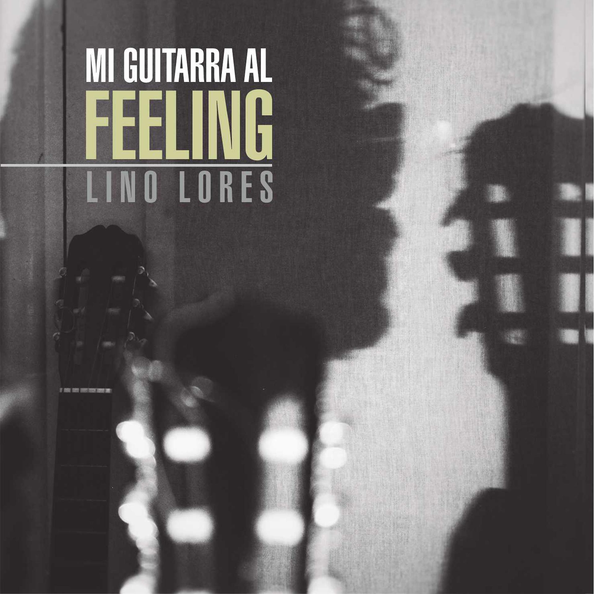 Постер альбома Mi guitarra al feeling
