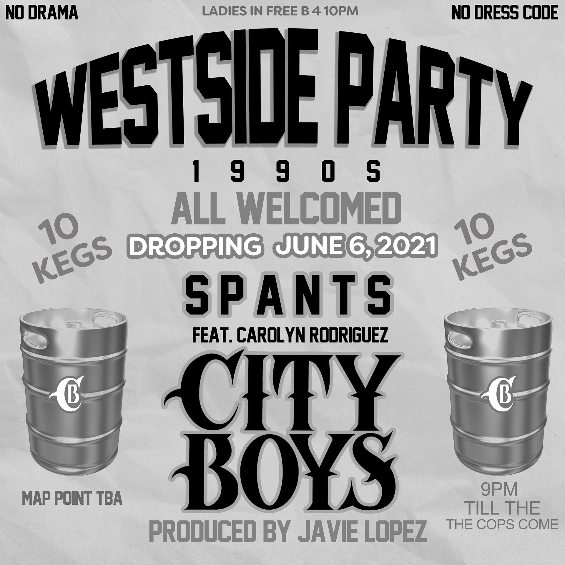 Постер альбома Westside Party 1990s