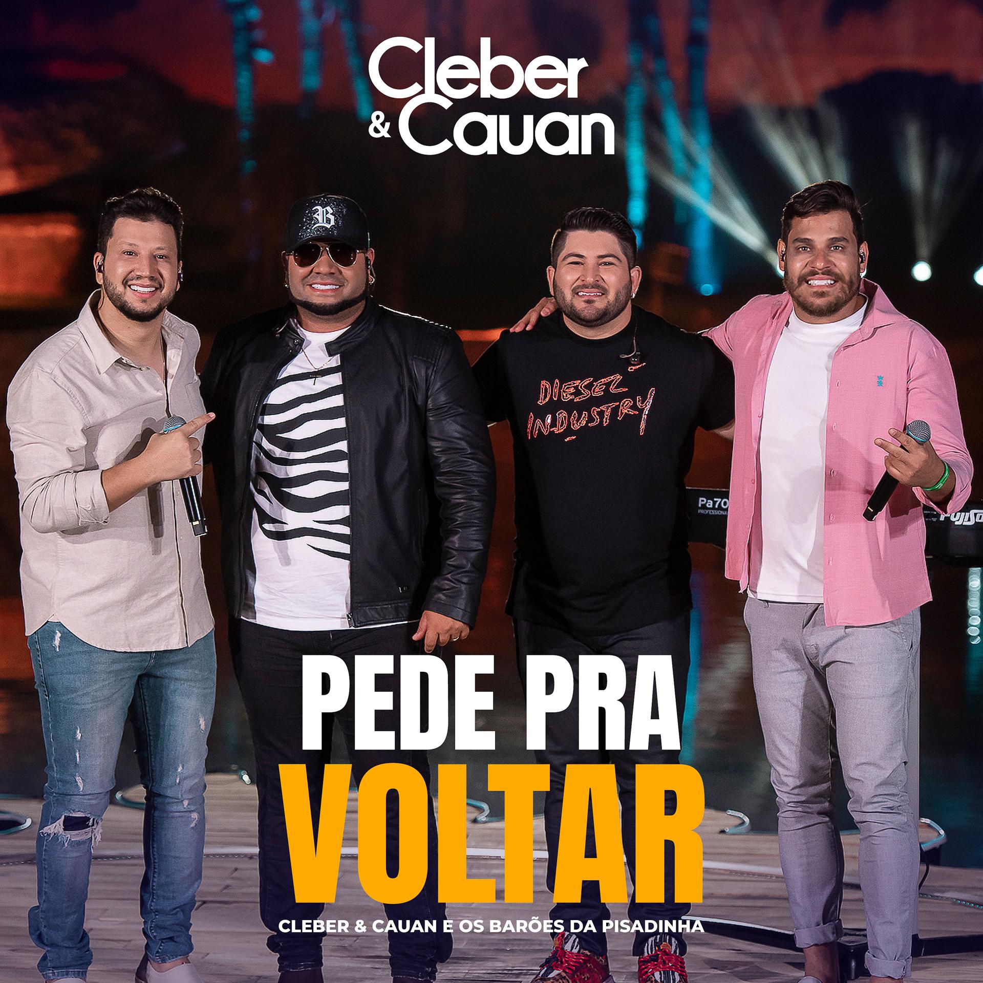 Постер альбома Pede Pra Voltar