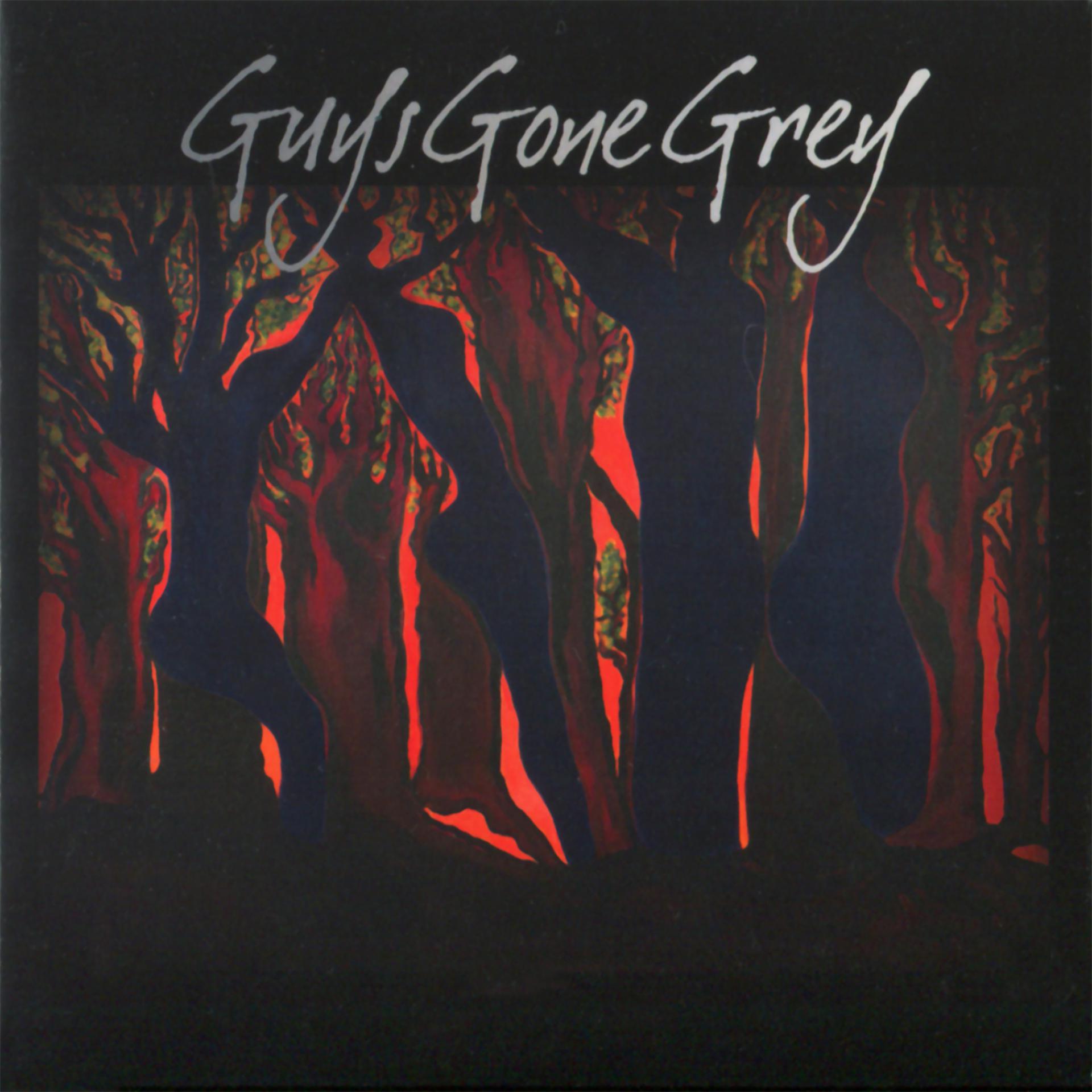 Постер альбома Guys Gone Grey