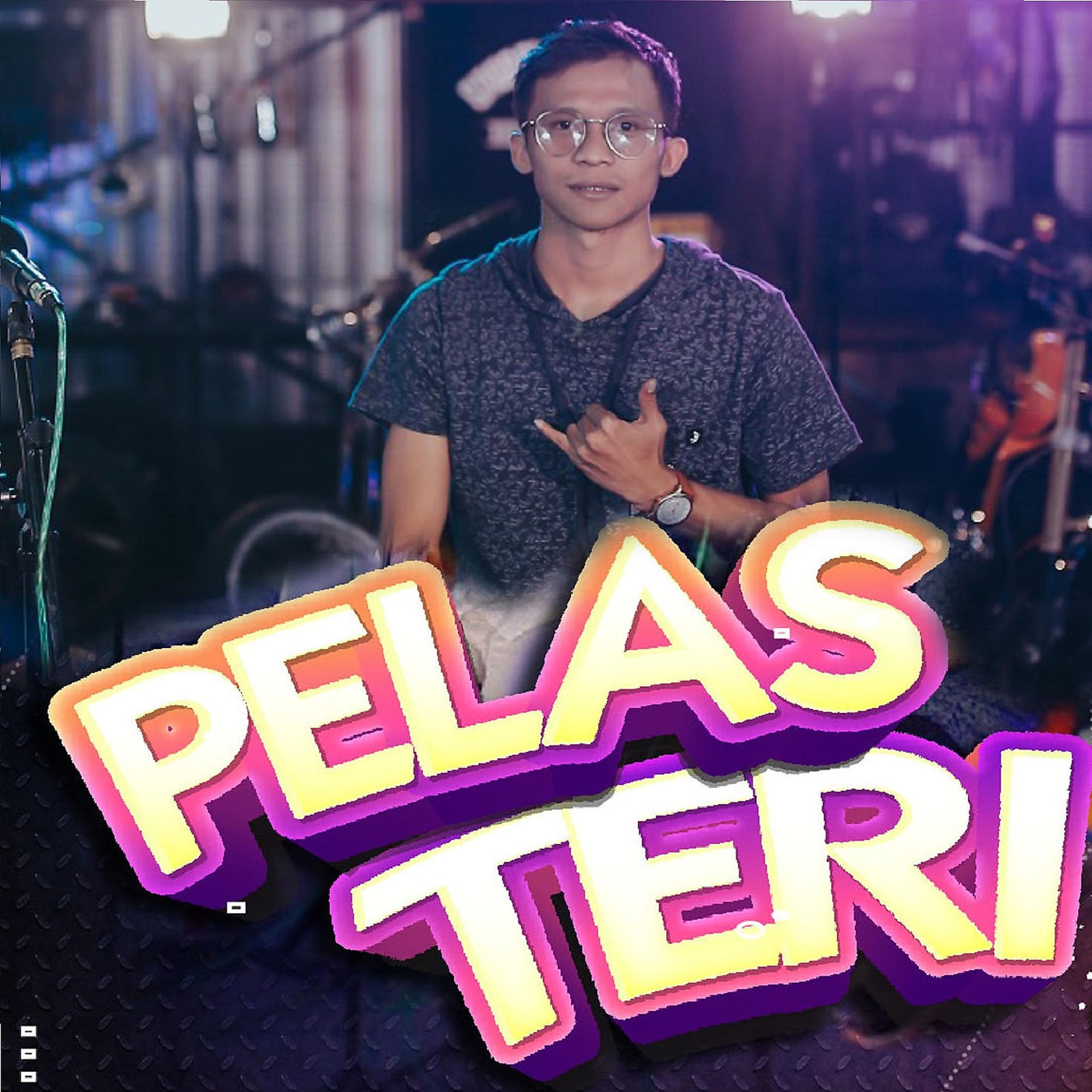 Постер альбома Pelas Teri