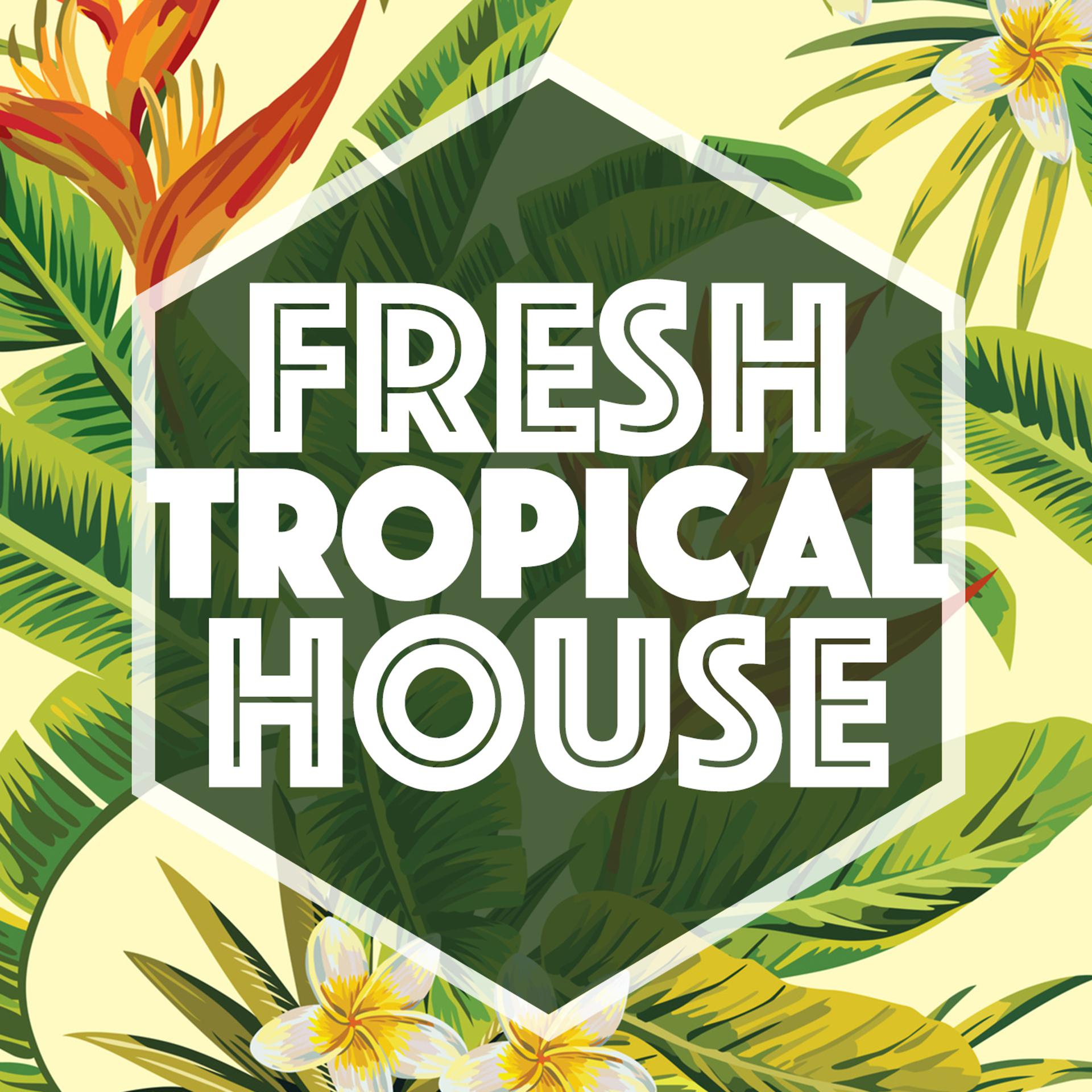 Постер альбома Fresh Tropical House