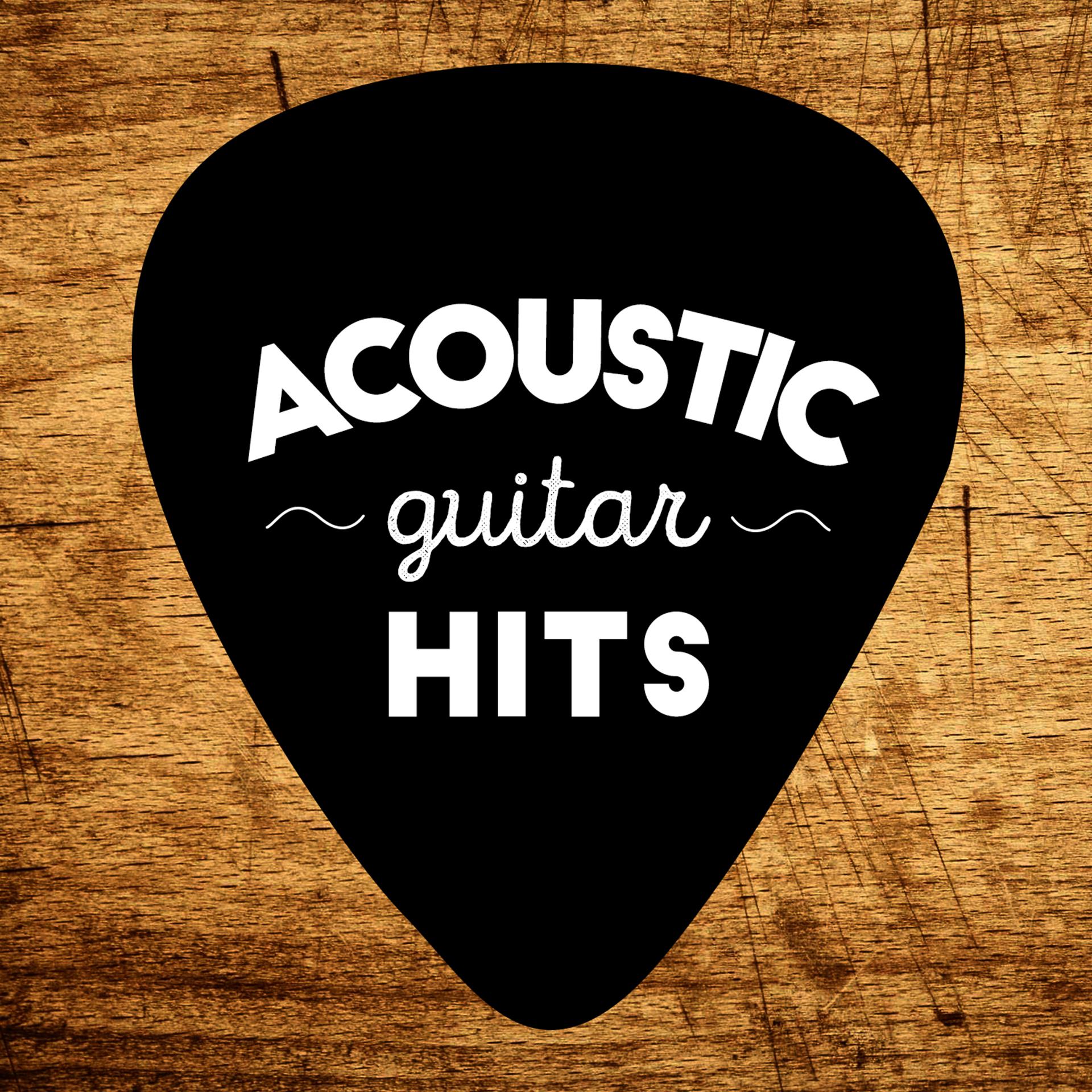 Постер альбома Acoustic Guitar Hits