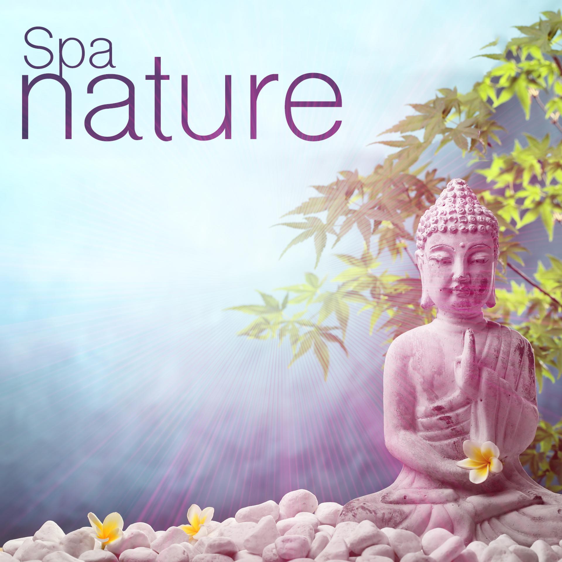 Постер альбома Spa Nature